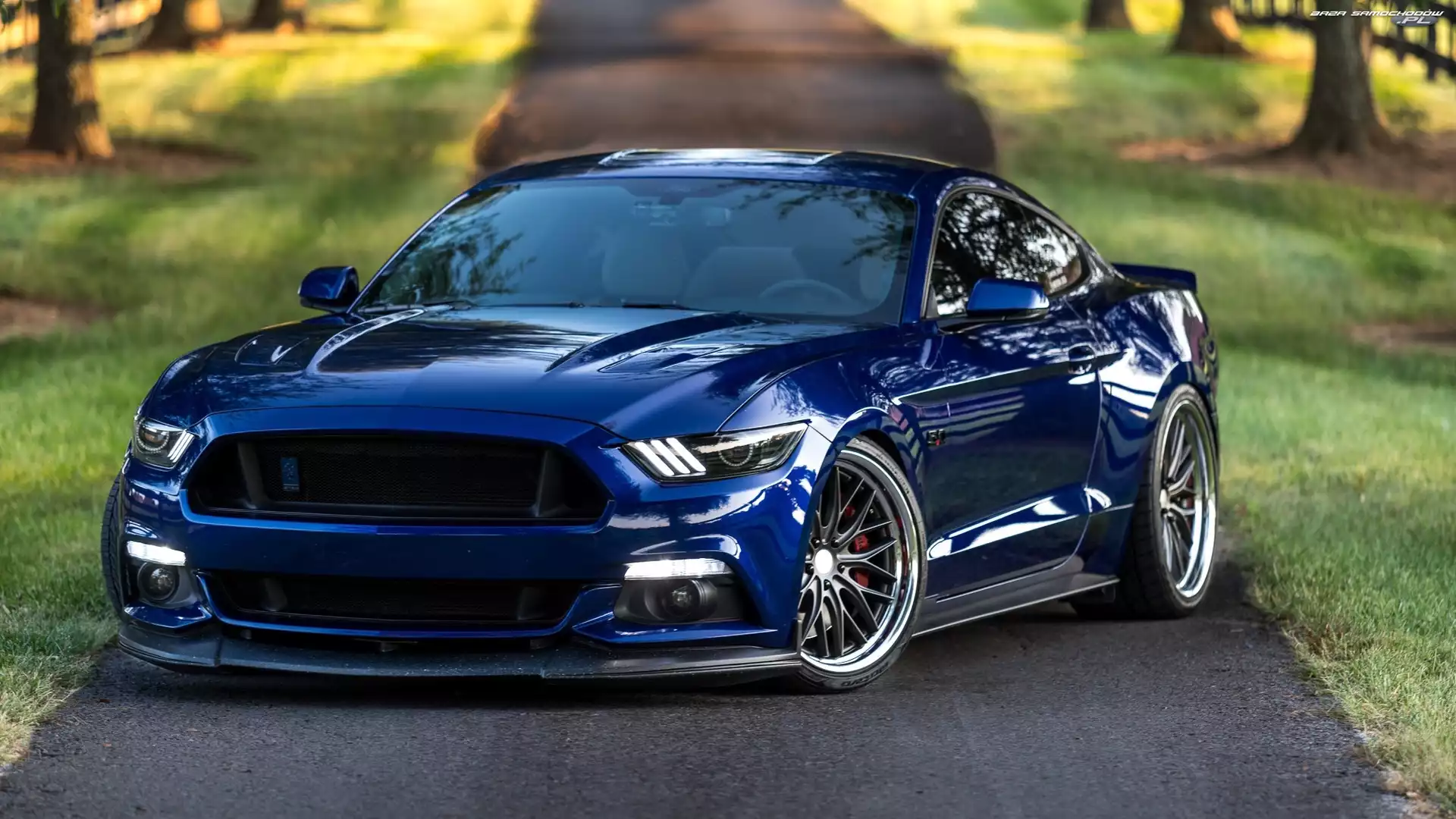 2017, Niebieski, Ford Mustang GT
