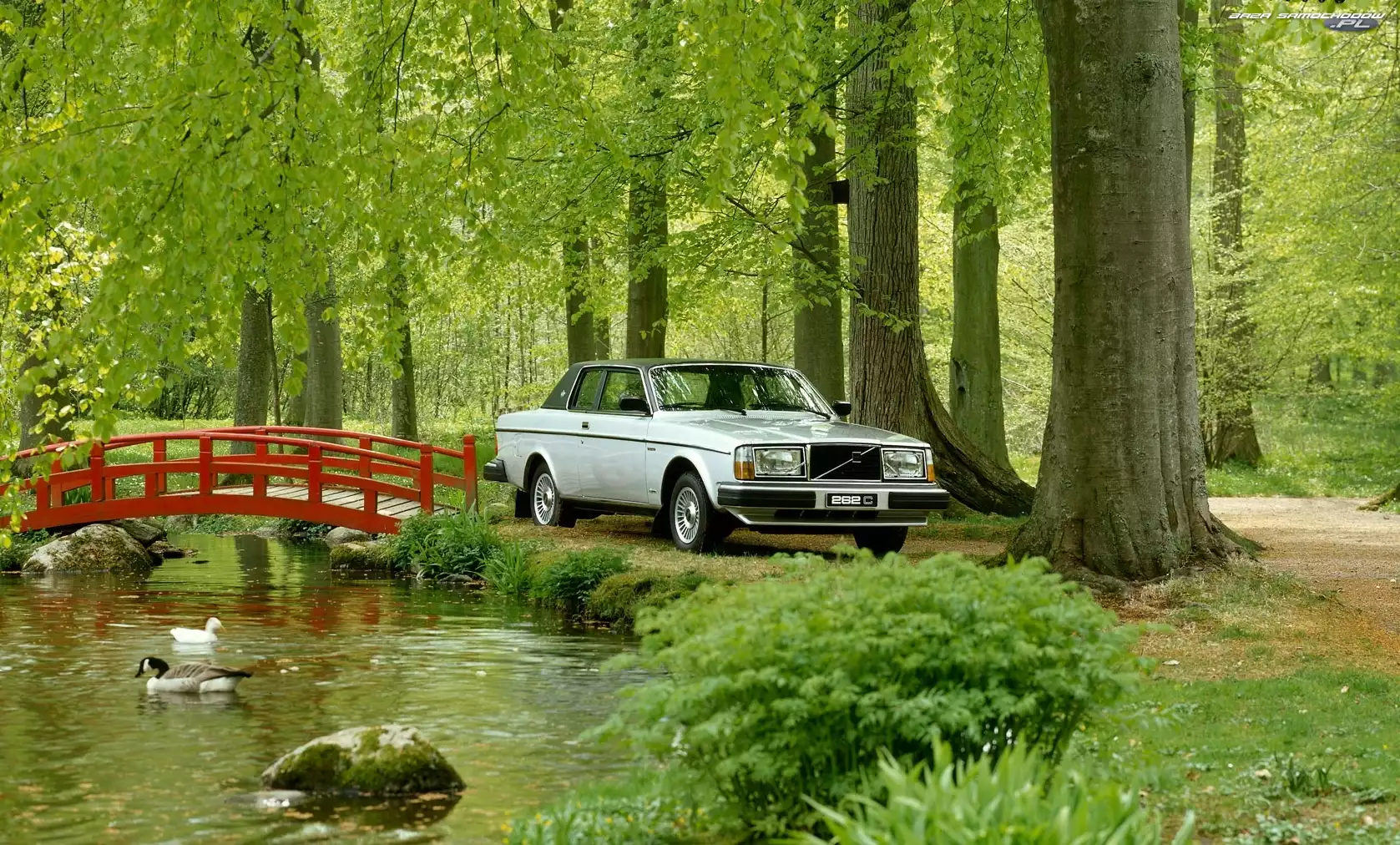 Volvo 262 C