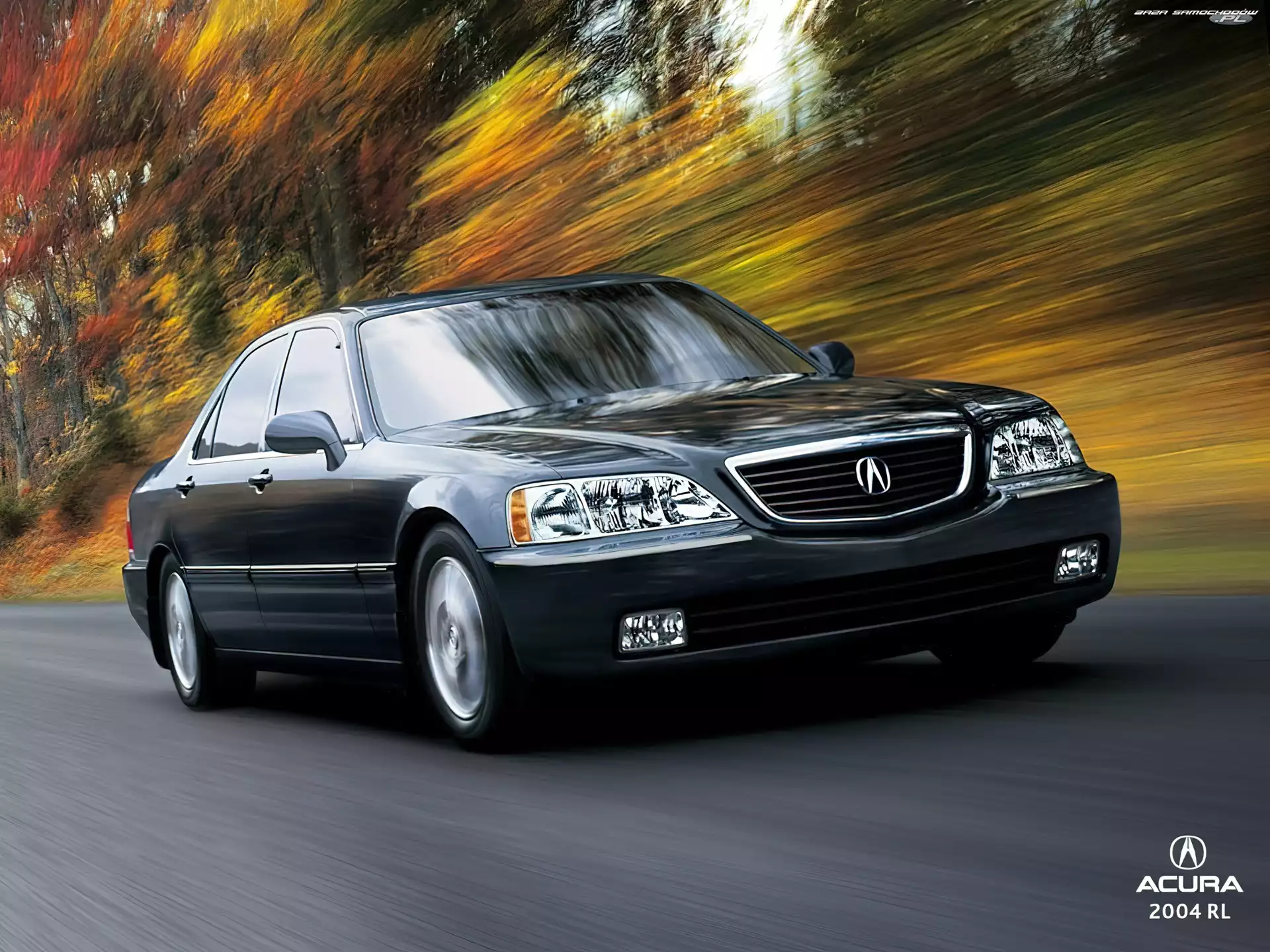 Stara, Acura RL, Model, Flagowy