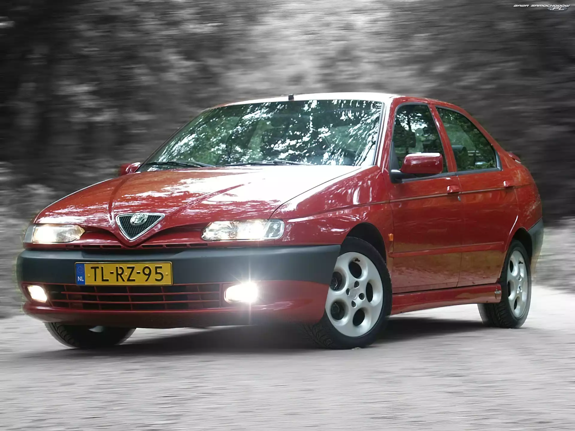 Halogeny, Alfa Romeo 146