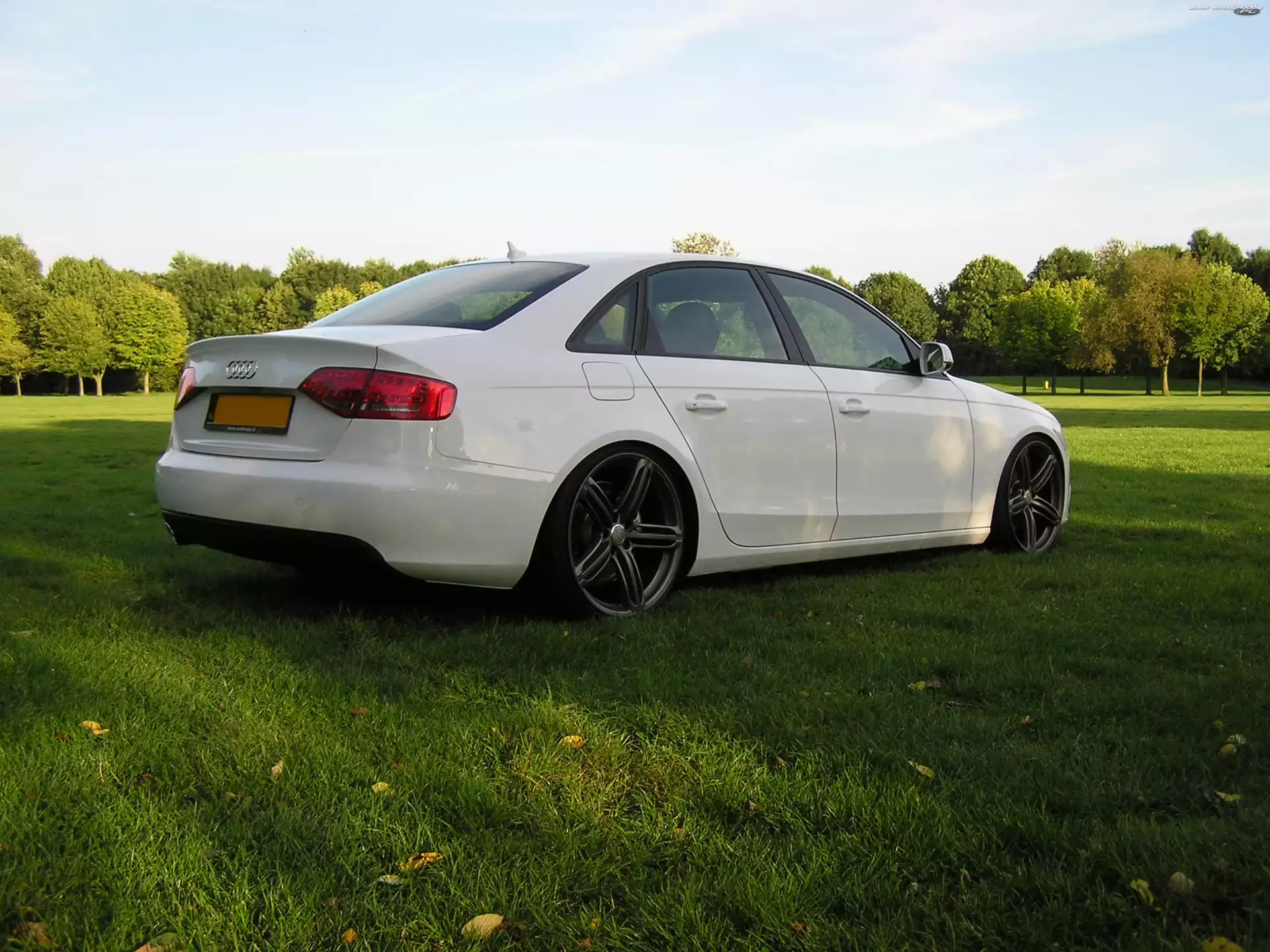Audi A4 B8, Obniżone, Białe