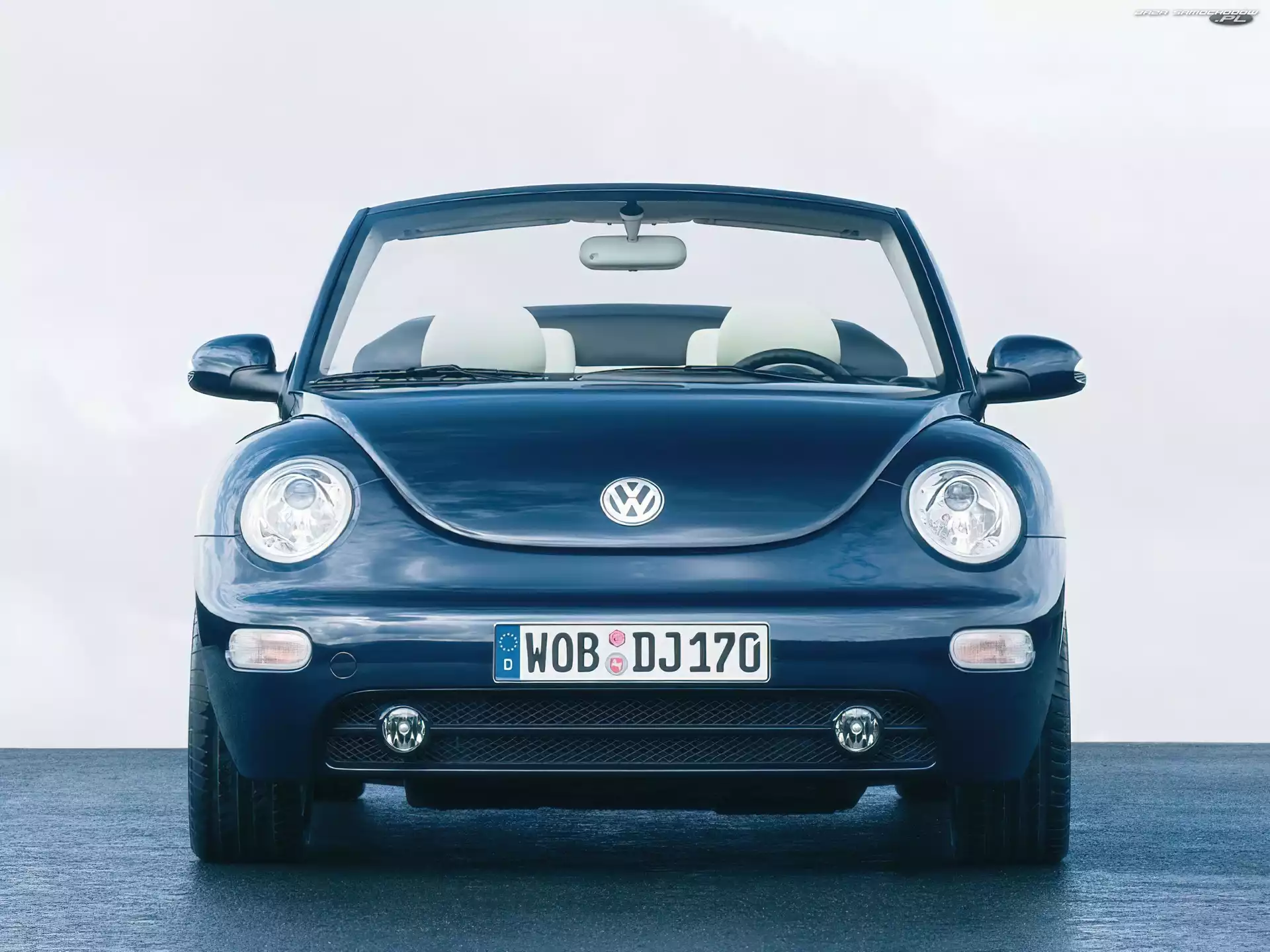 Biała Skóra, New Beetle, Niebieski