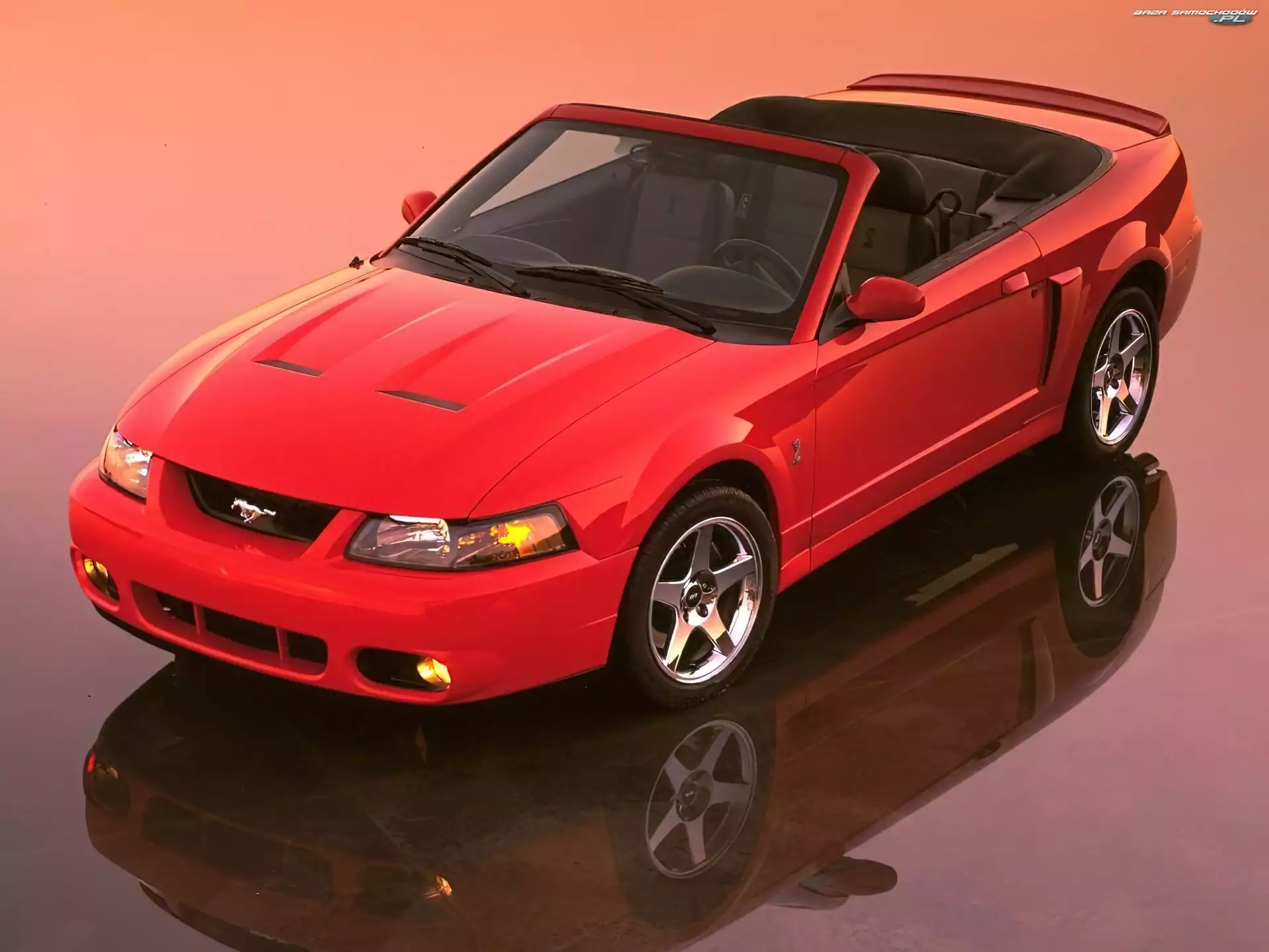 Cabrio, Ford Mustang, Czerwony