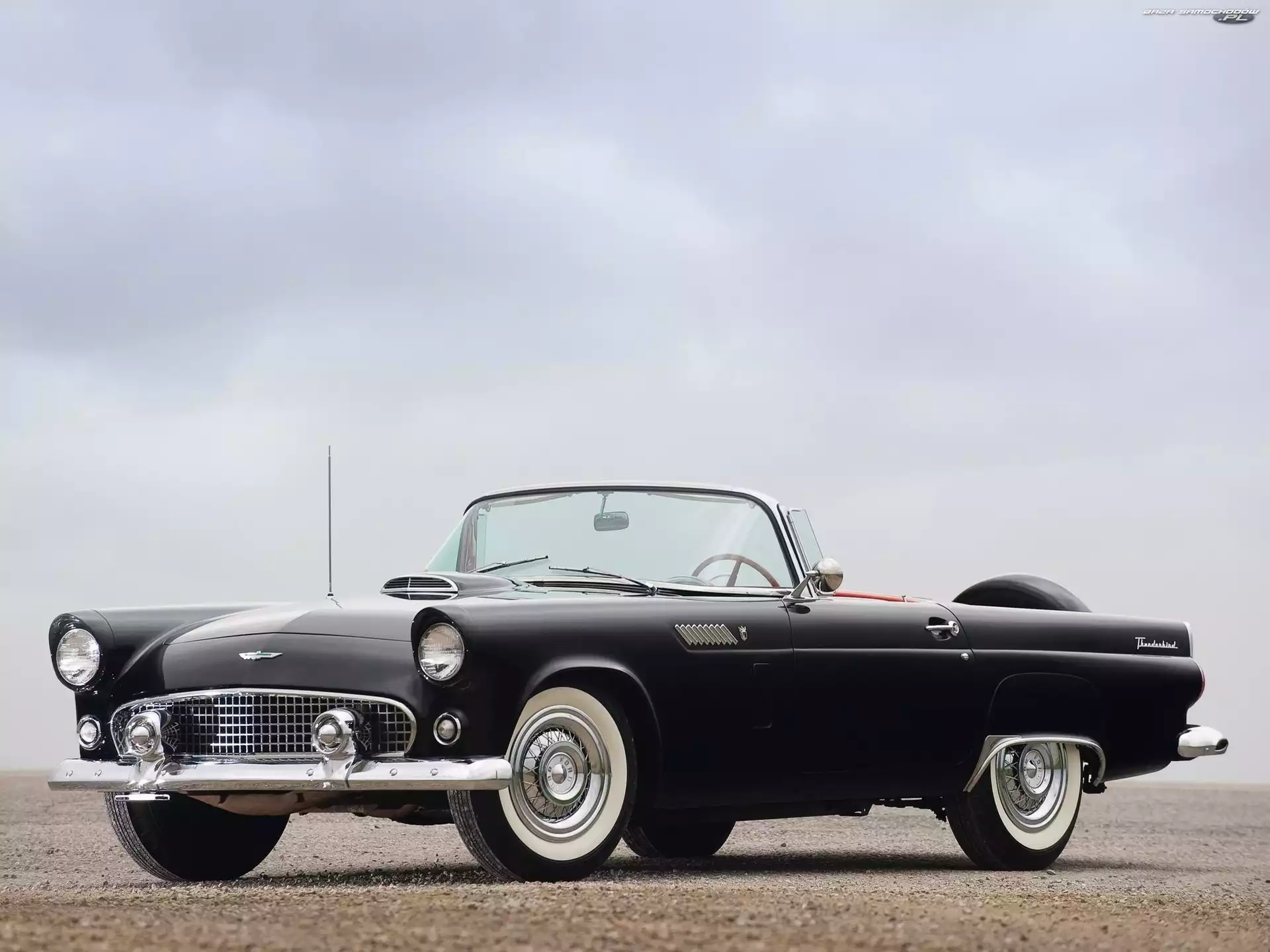 Cabrio, 1956, Ford, Zabytkowy, Thunderbird