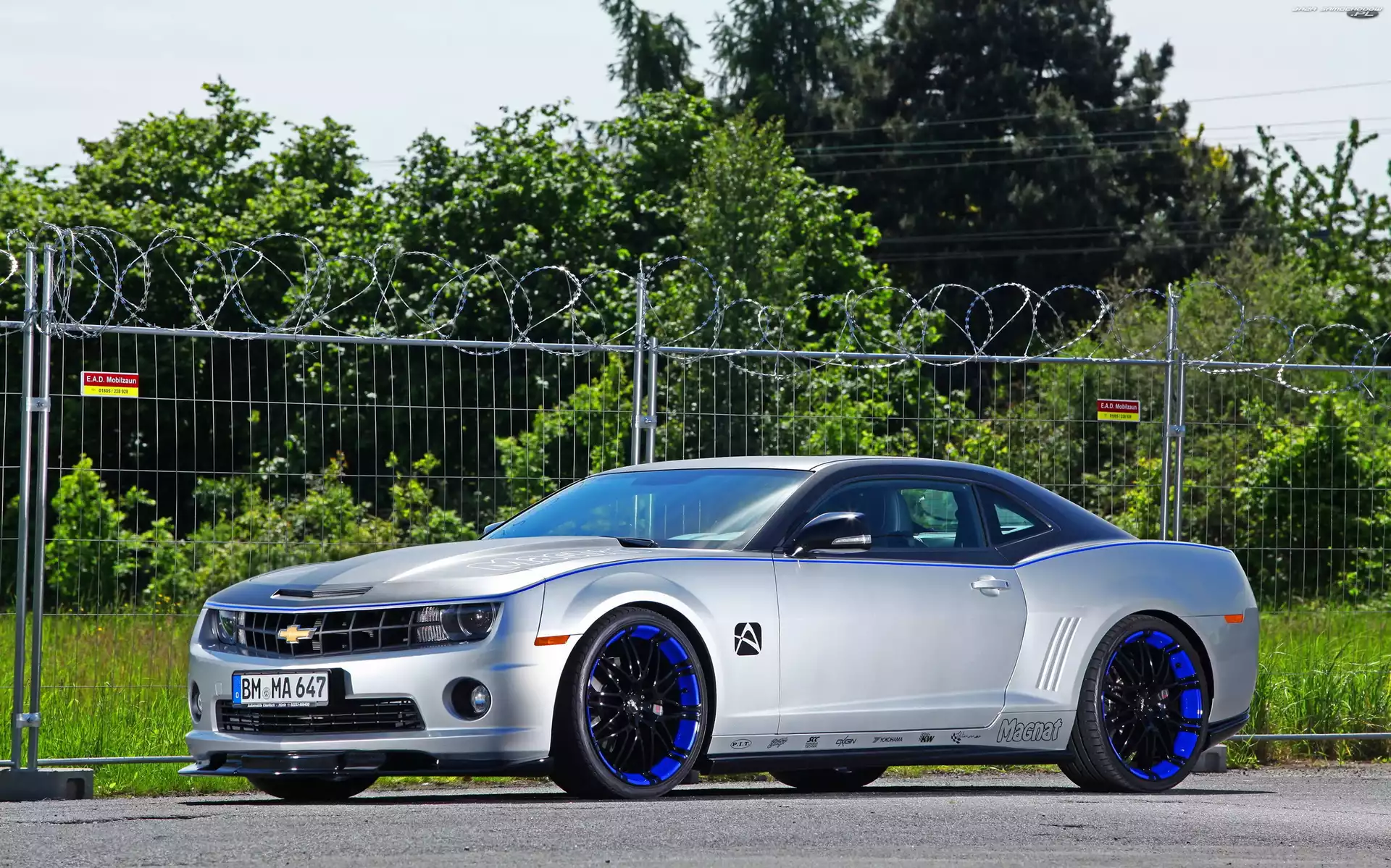 Drzewa, Chevrolet, Camaro