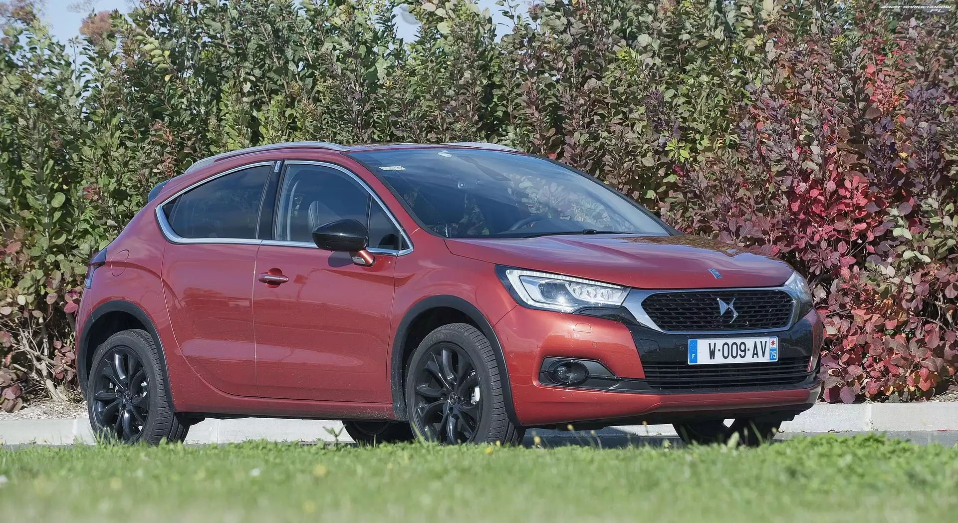 Krzewy, Citroen, DS4