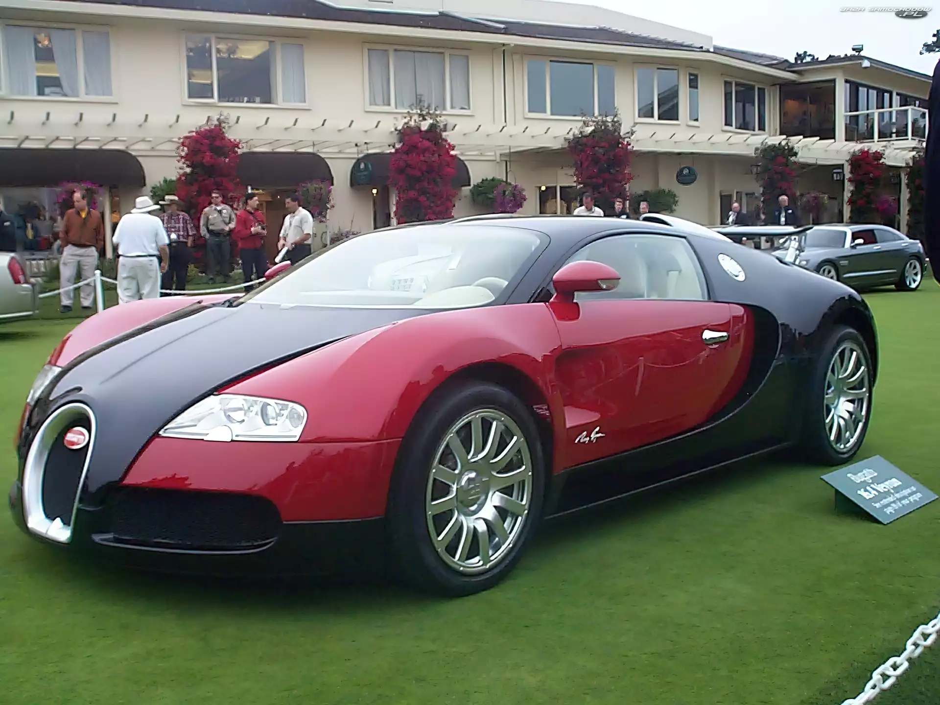 Czerwony, Czarny, Trawa, Veyron