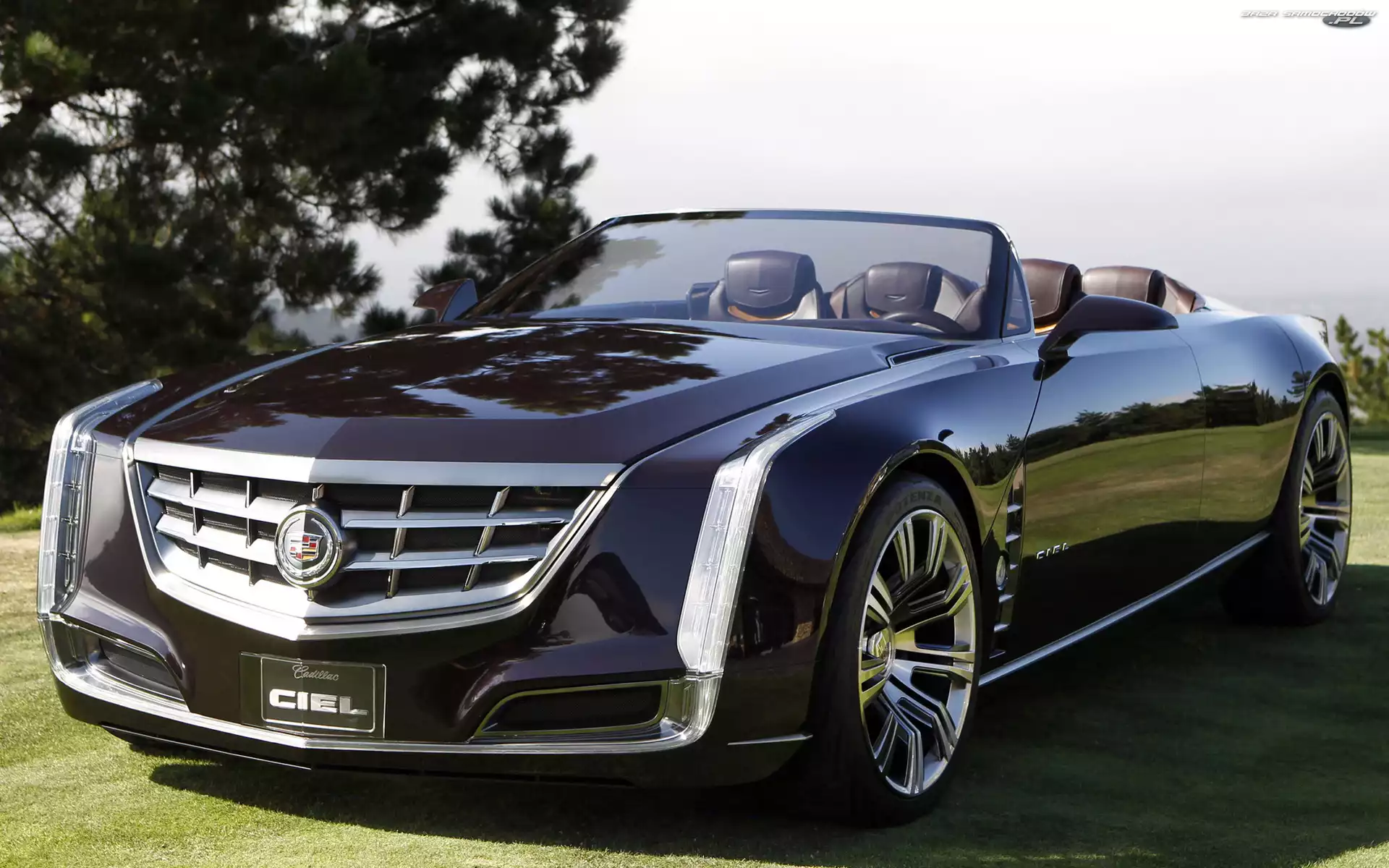 Kabriolet, Czarny, Cadillac Ciel