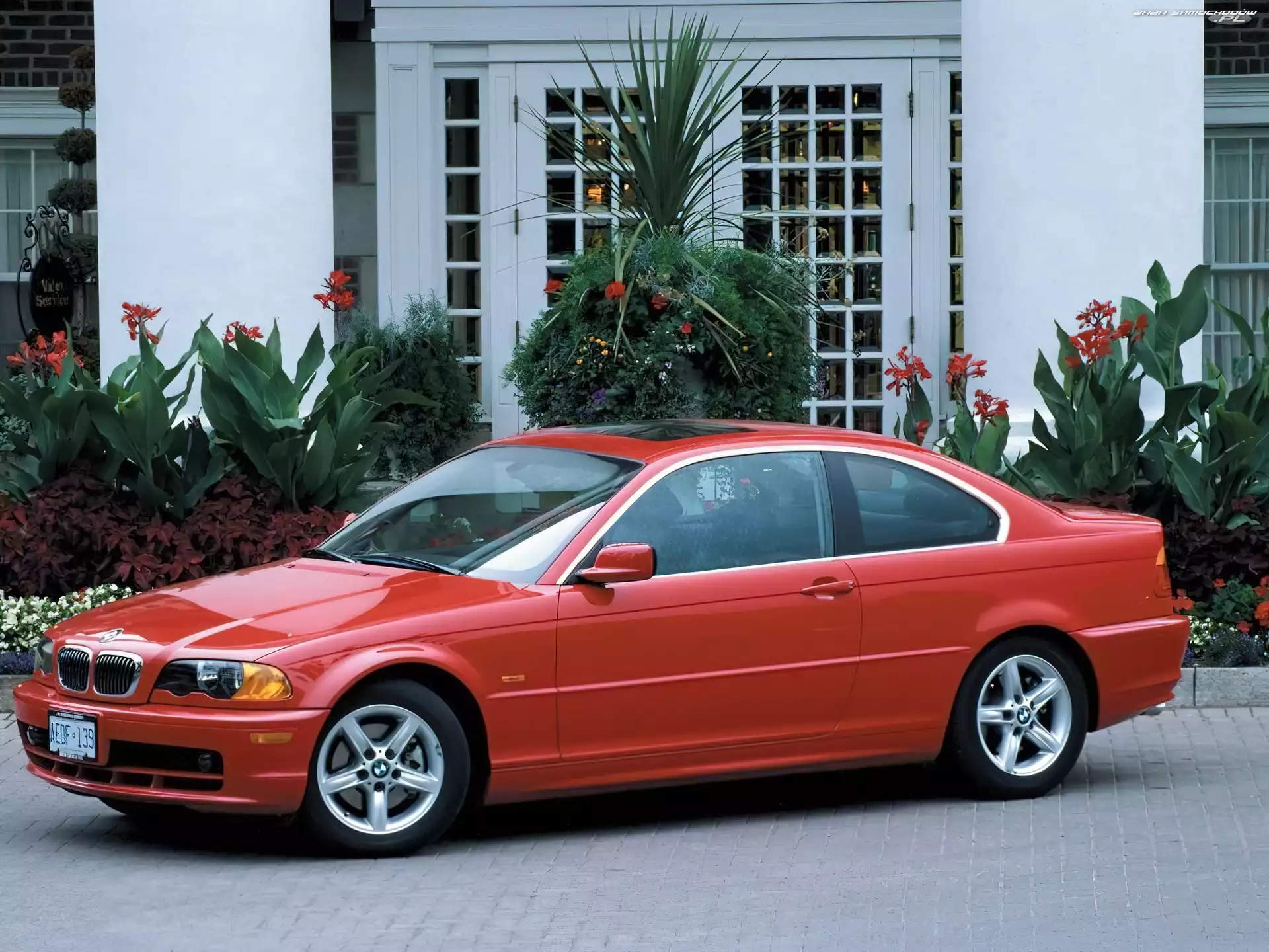 Coupe, Czerwone, BMW