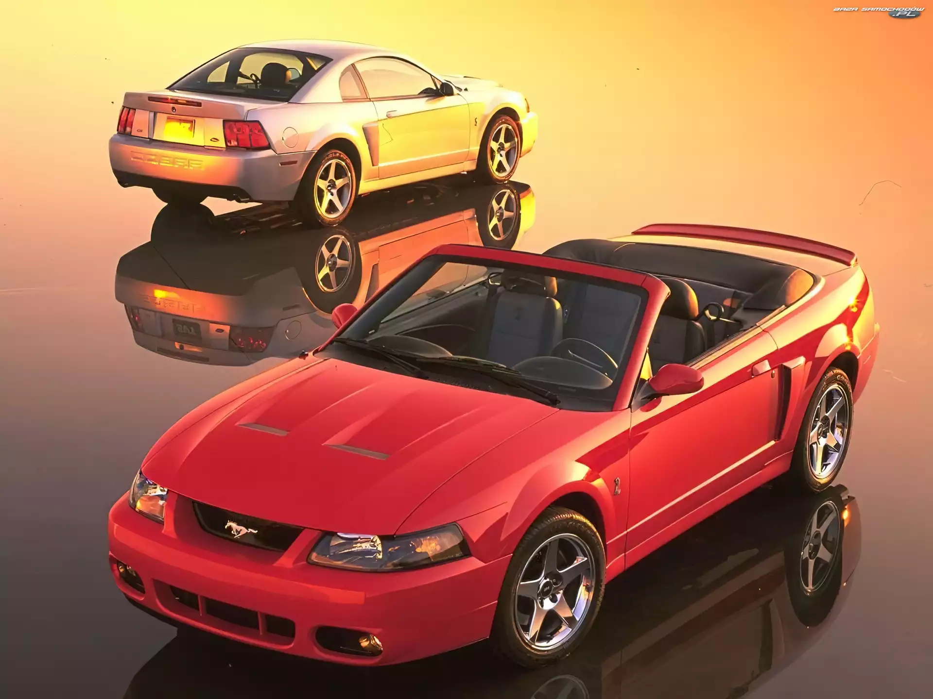 Mustang, Czerwony, Srebrny, Cabrio