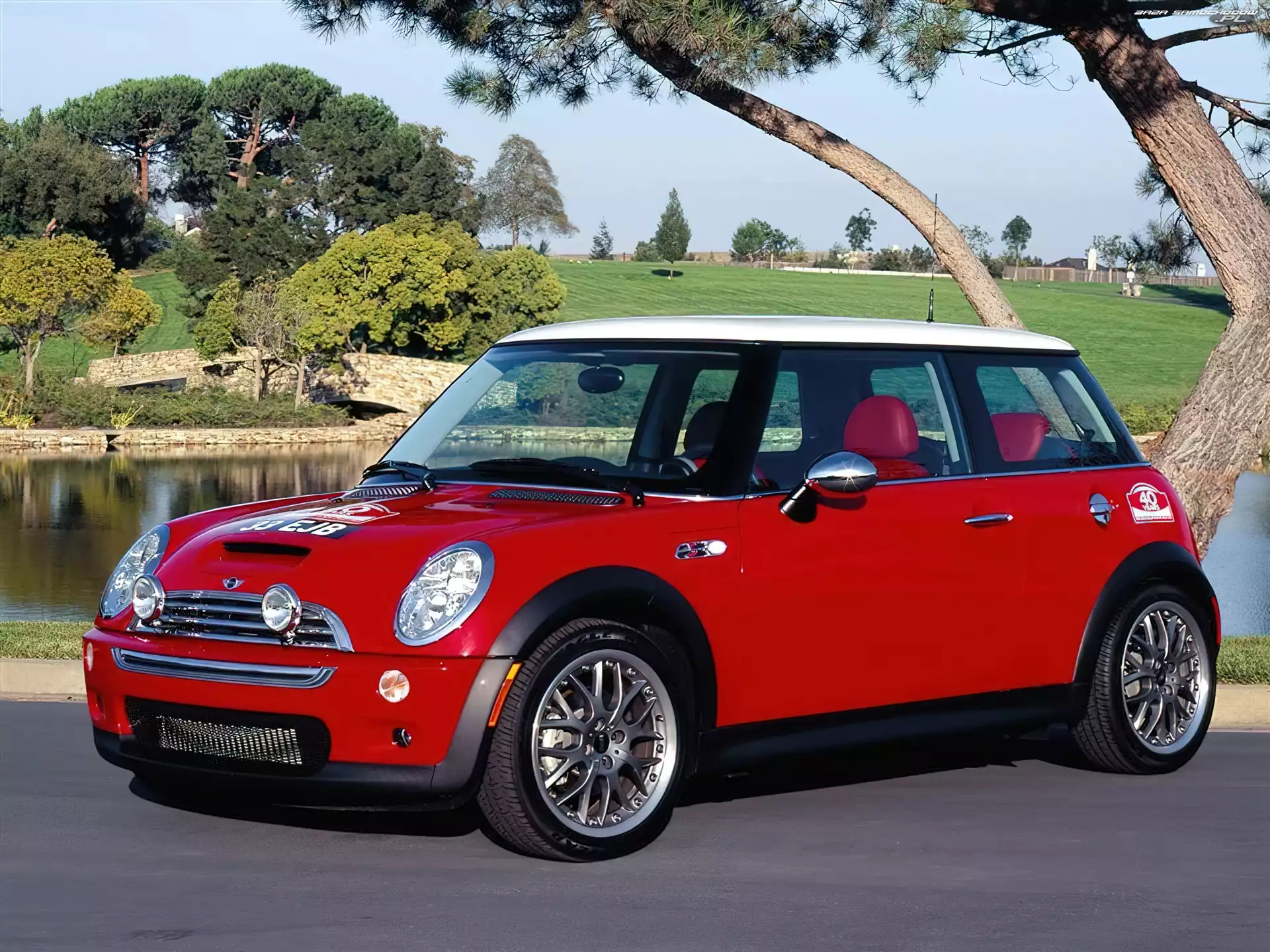 Dach, Mini Cooper, Biały
