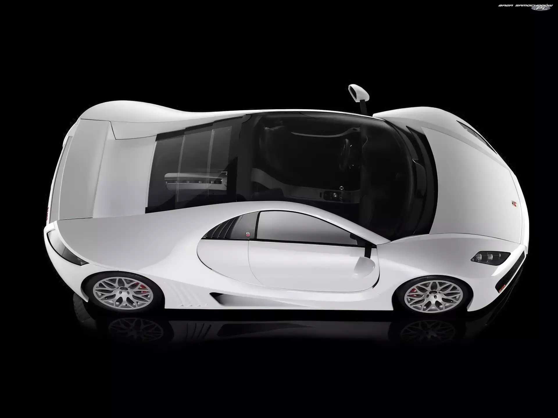 Dach, Biała, Marussia B1