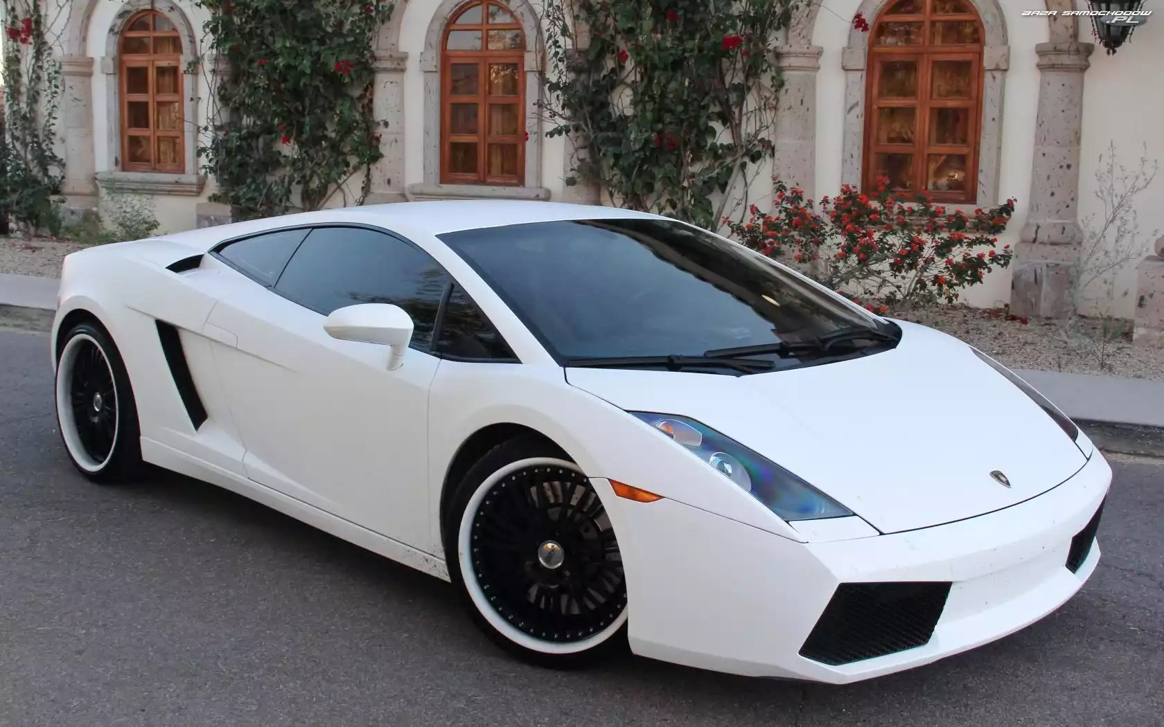 Dom, Białe, Lamborghini Gallardo