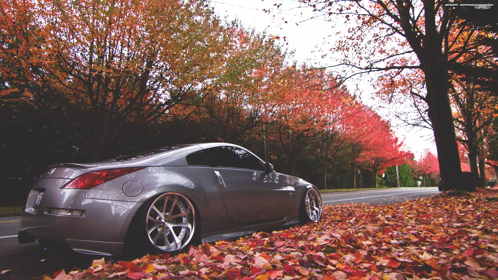 Droga, 350Z, Jesień, Nissan