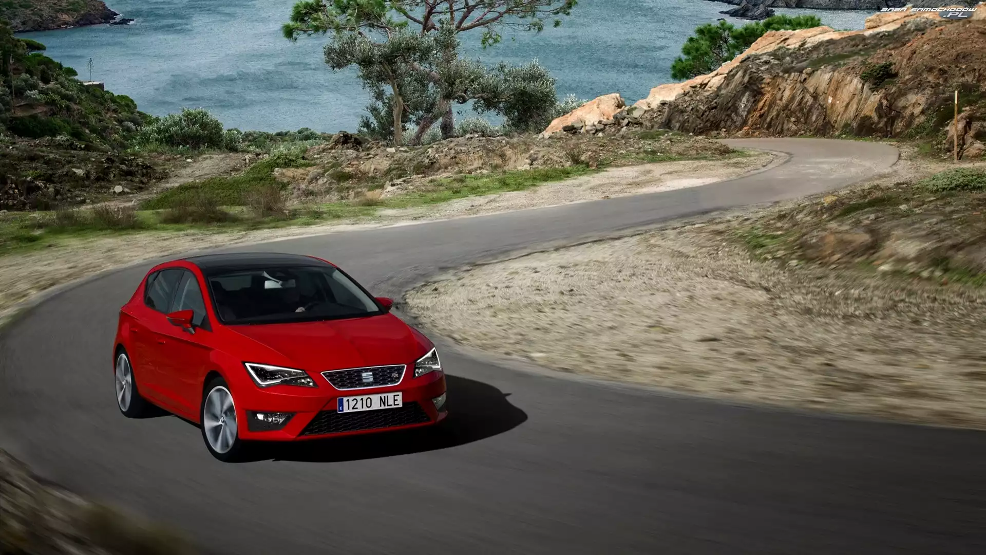 Droga, Czerwony, Seat Leon