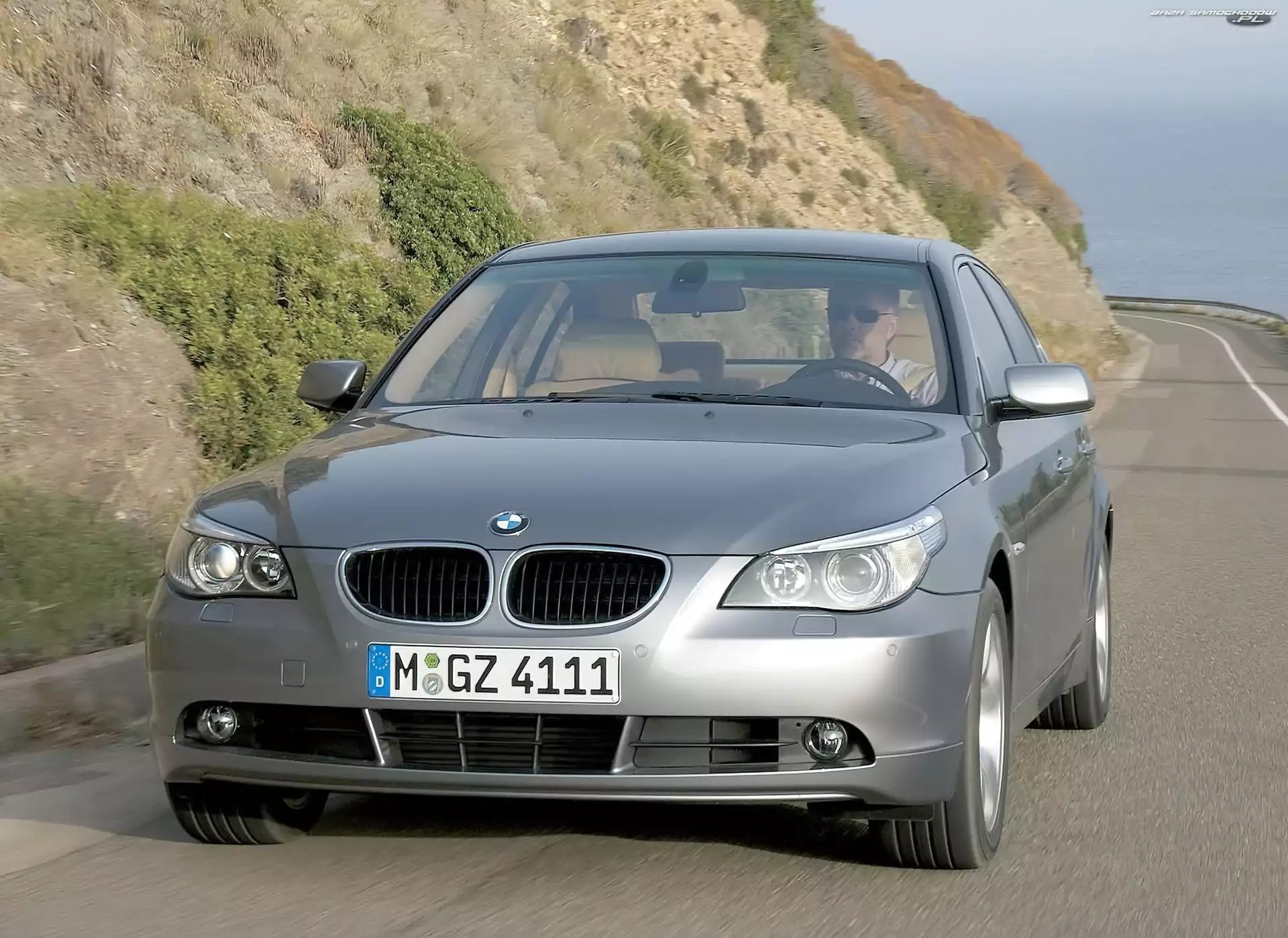 Droga, Góry, BMW 5, Srebrne, E60