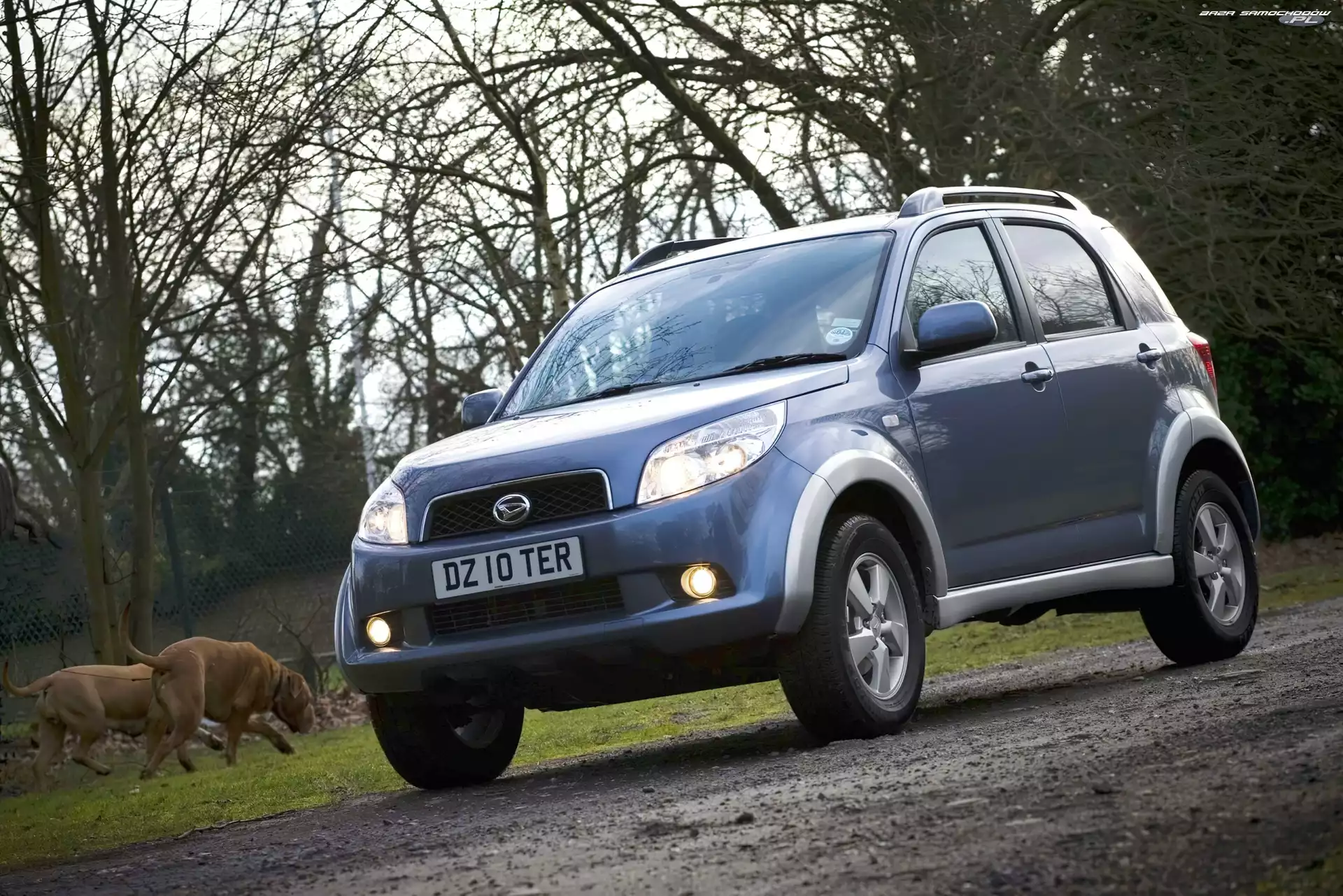 Droga, Daihatsu Terios, Polna