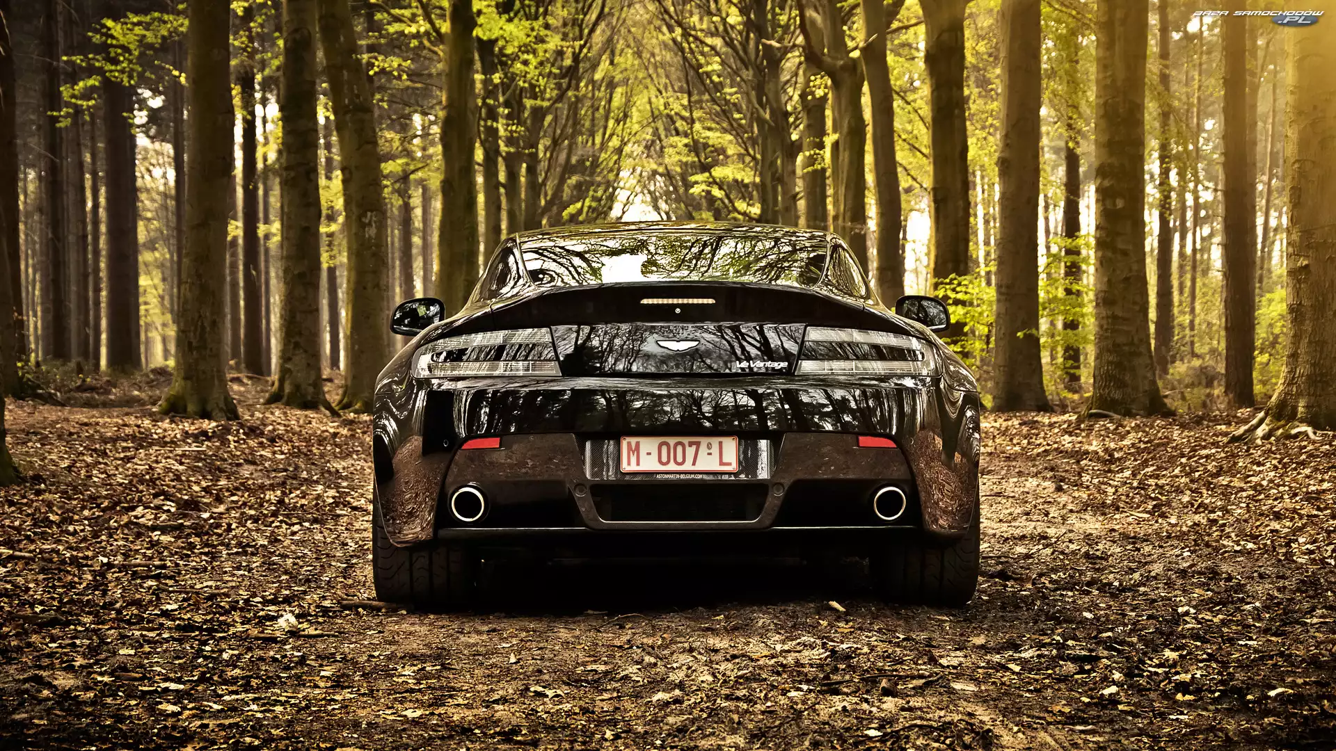 2012, Drzewa, Aston Martin V8 Vantage Roadster, Las