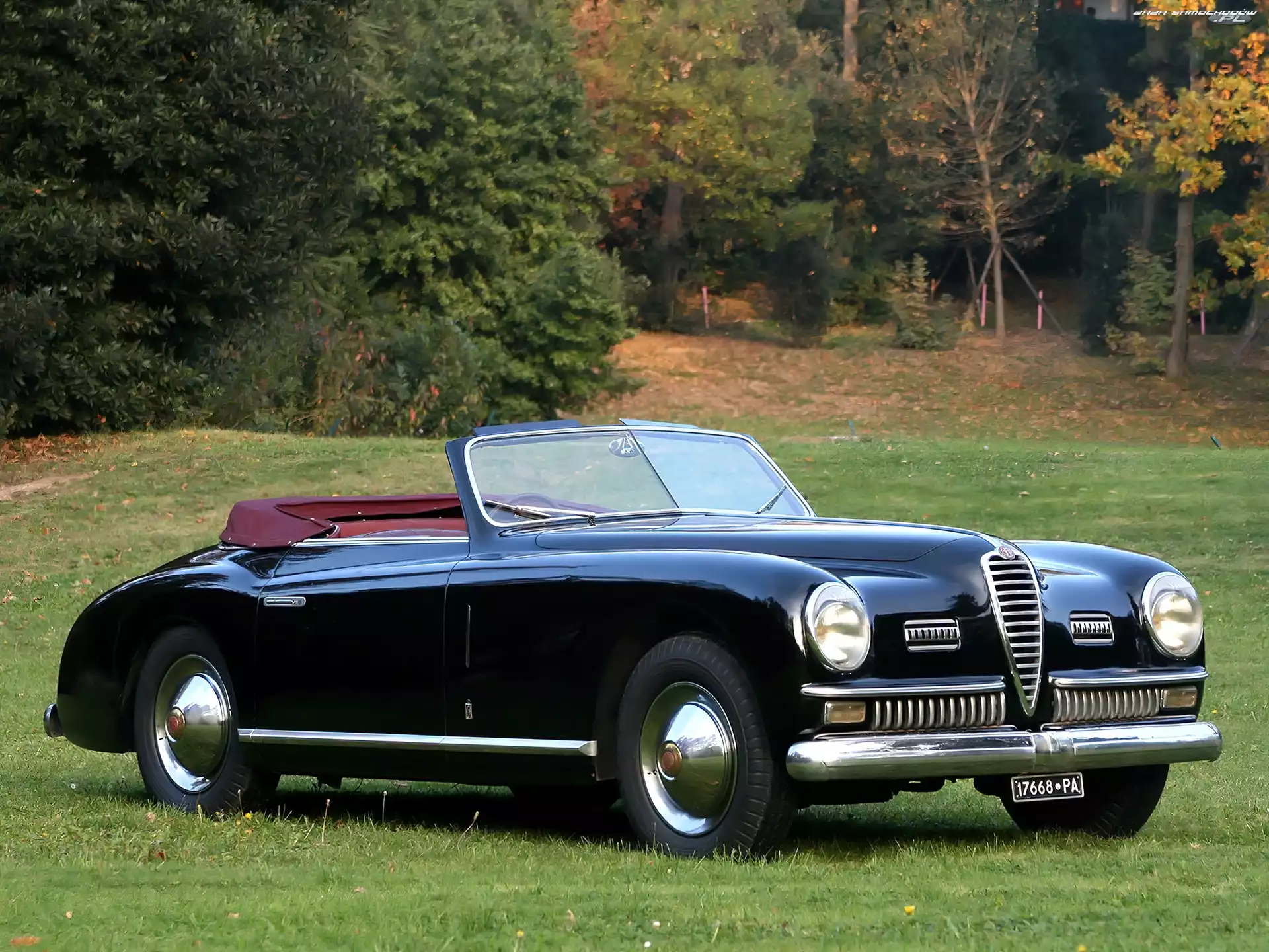 Drzewa, Łąka, Alfa Romeo, Zabytkowa, 6c