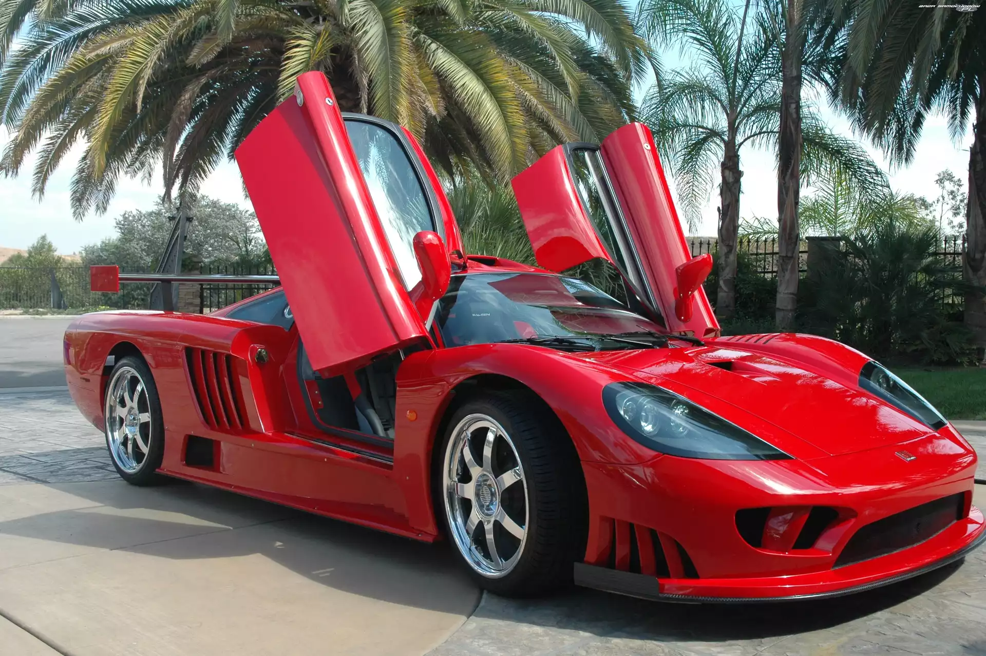 Drzwi, Saleen S7, Unoszone
