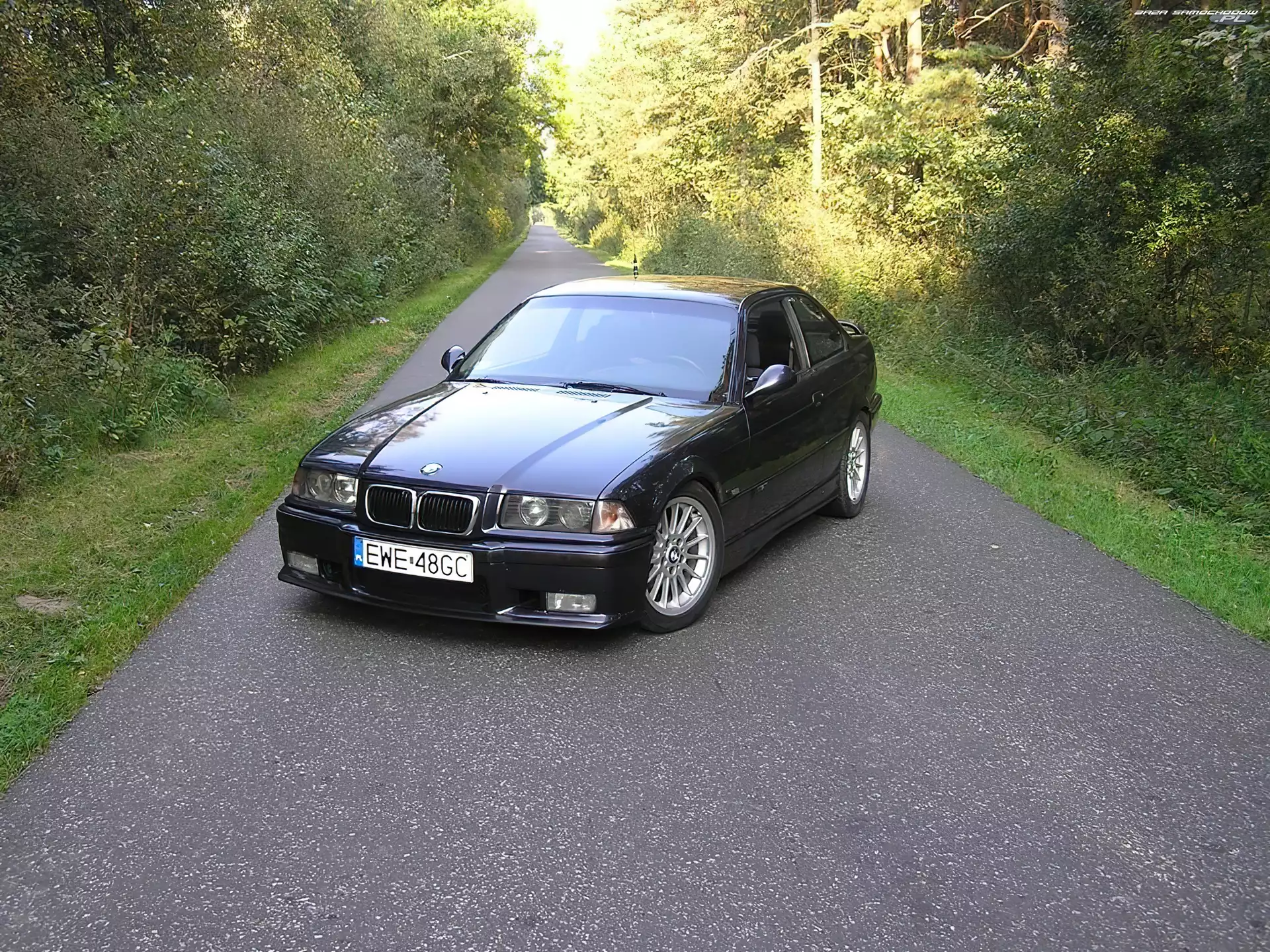 BMW 3, E36, Las, Szosa