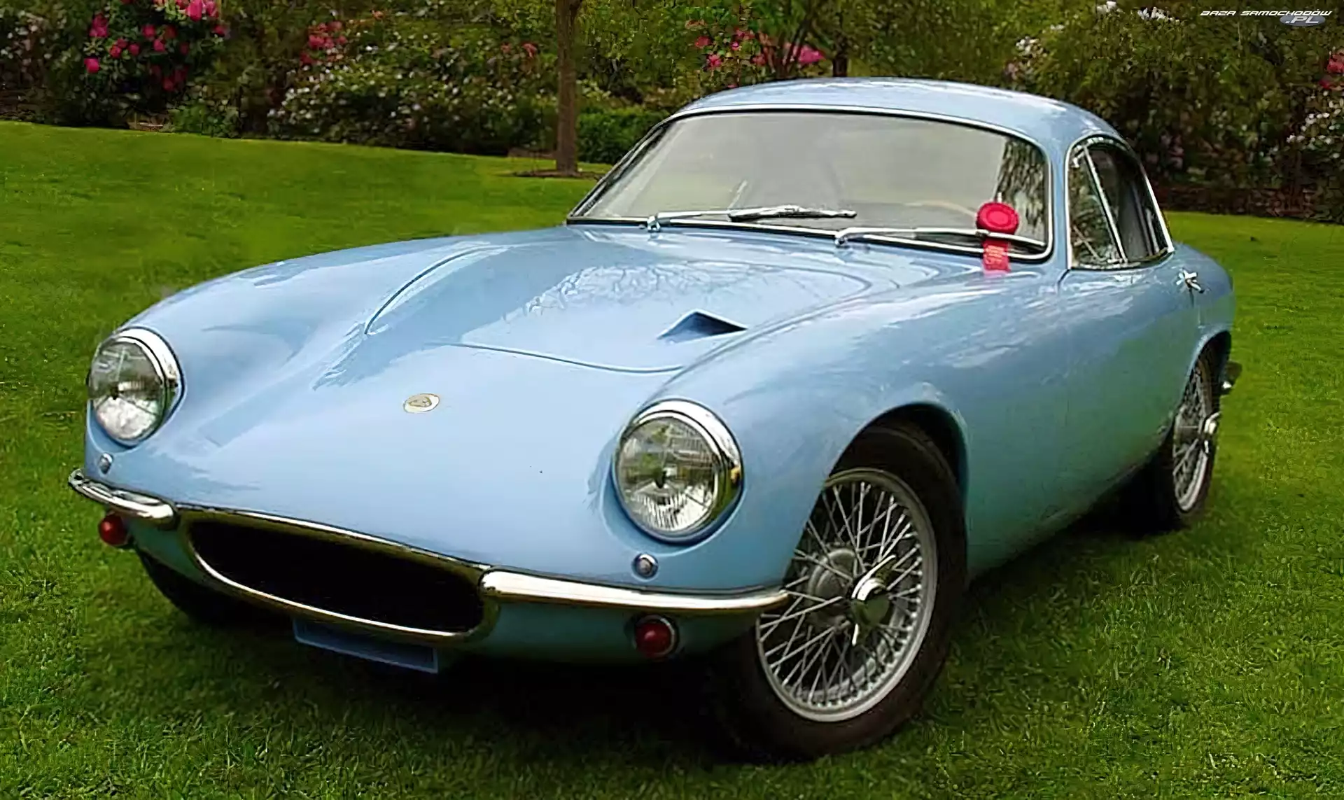 Zabytkowy, Lotus Elite