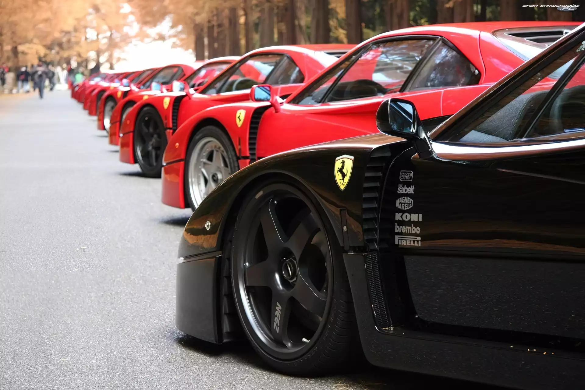 Ferrari F 40, Kilka, Sztuk