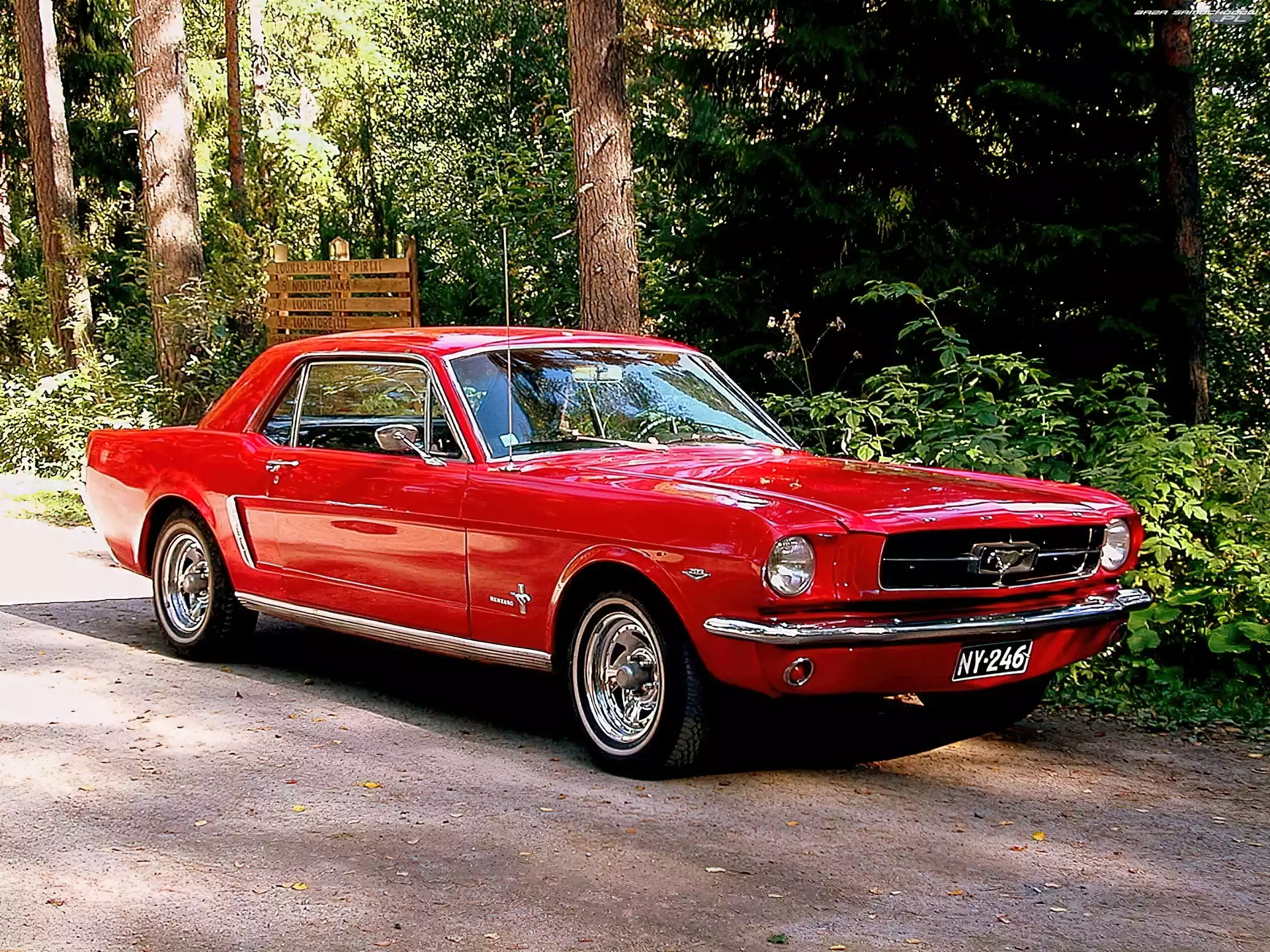 Ford Mustang, Czerwony