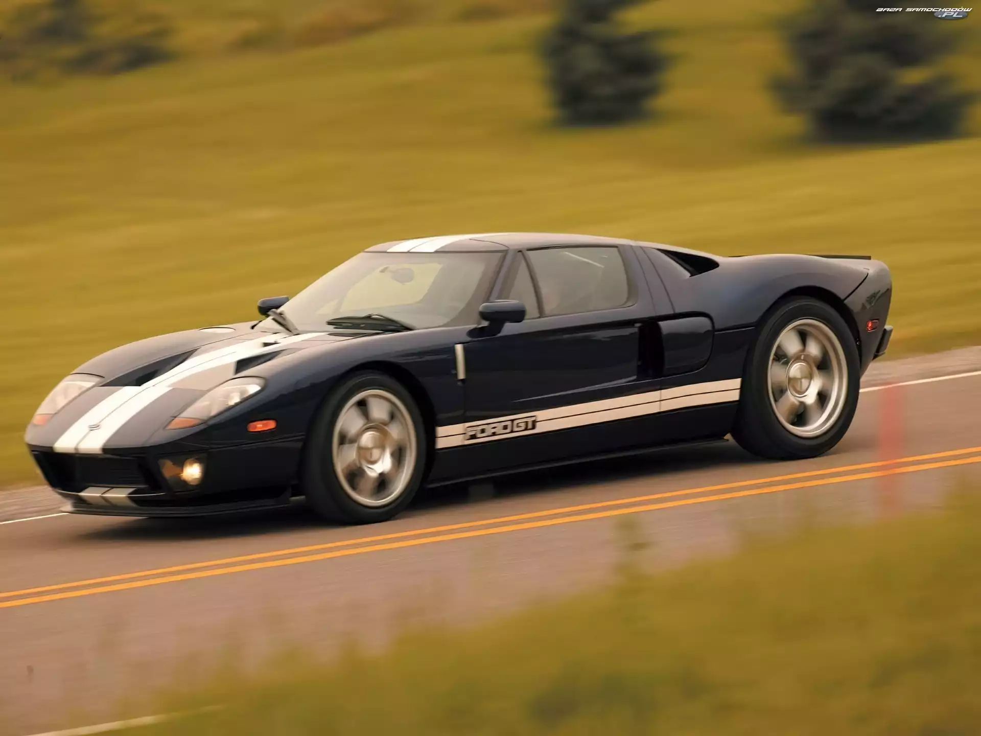 Ford GT, Niebieski