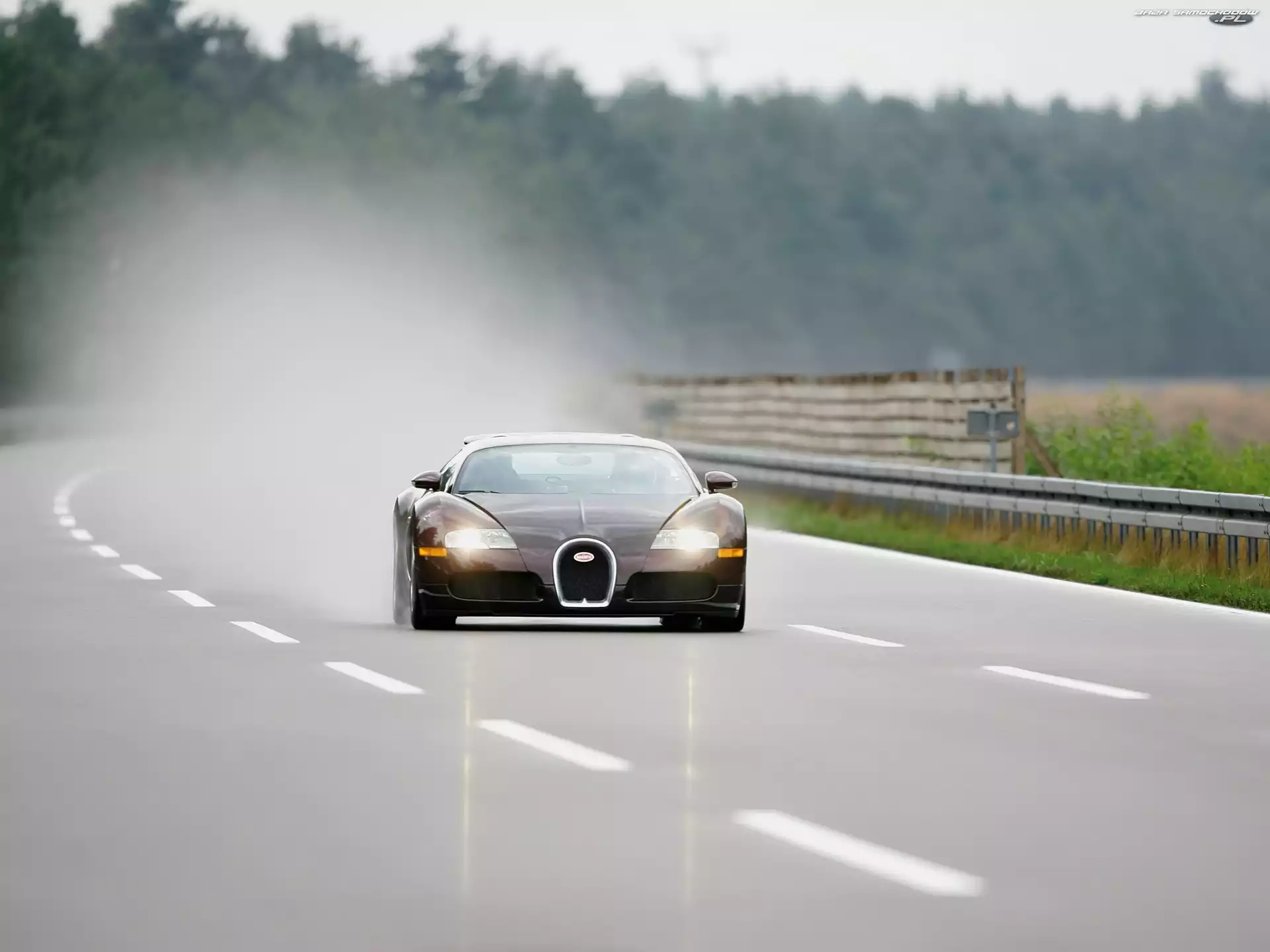 Gumę, Bugatti Veyron, Pali