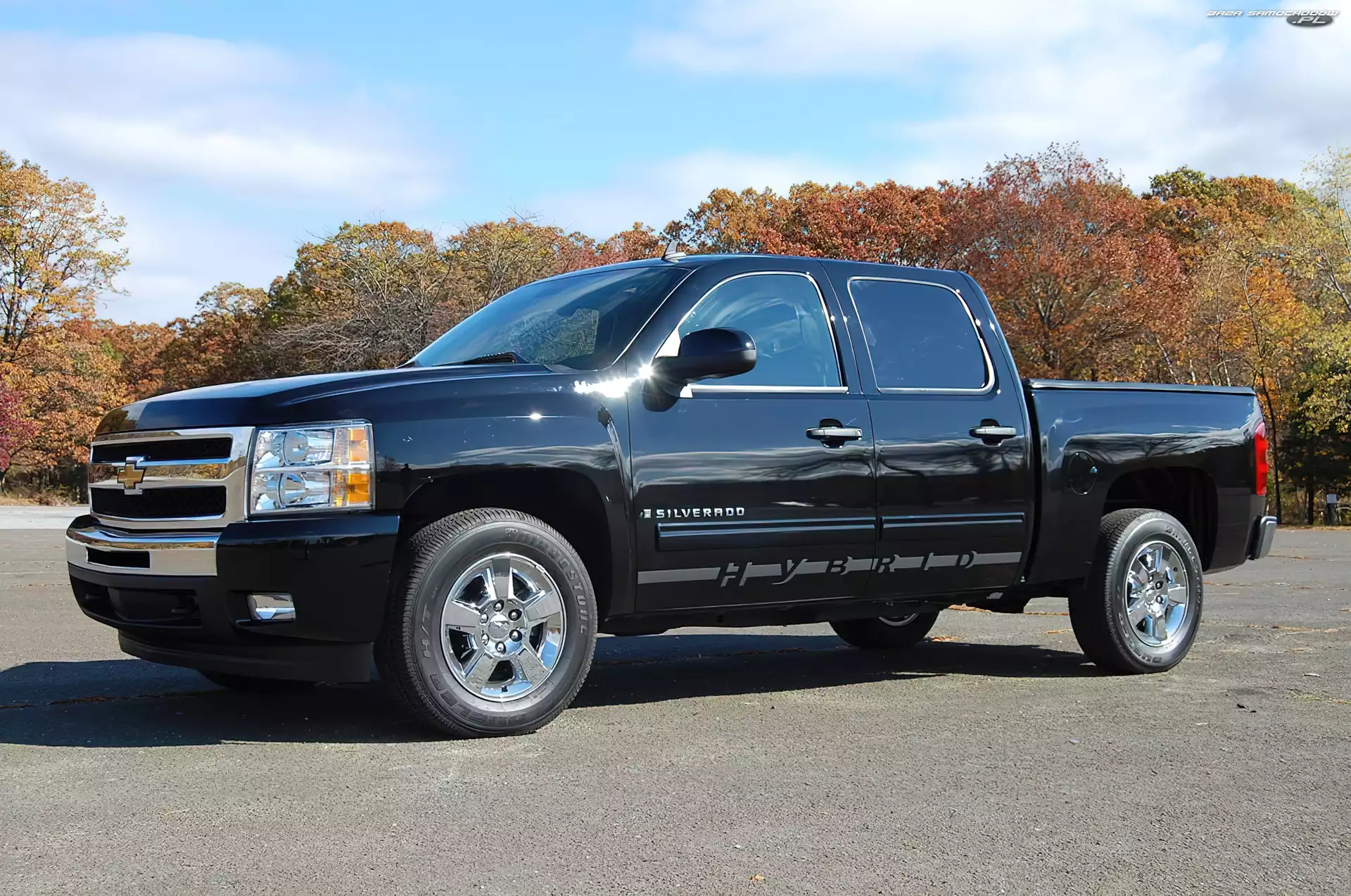 Jesień, Hybrid, Silverado