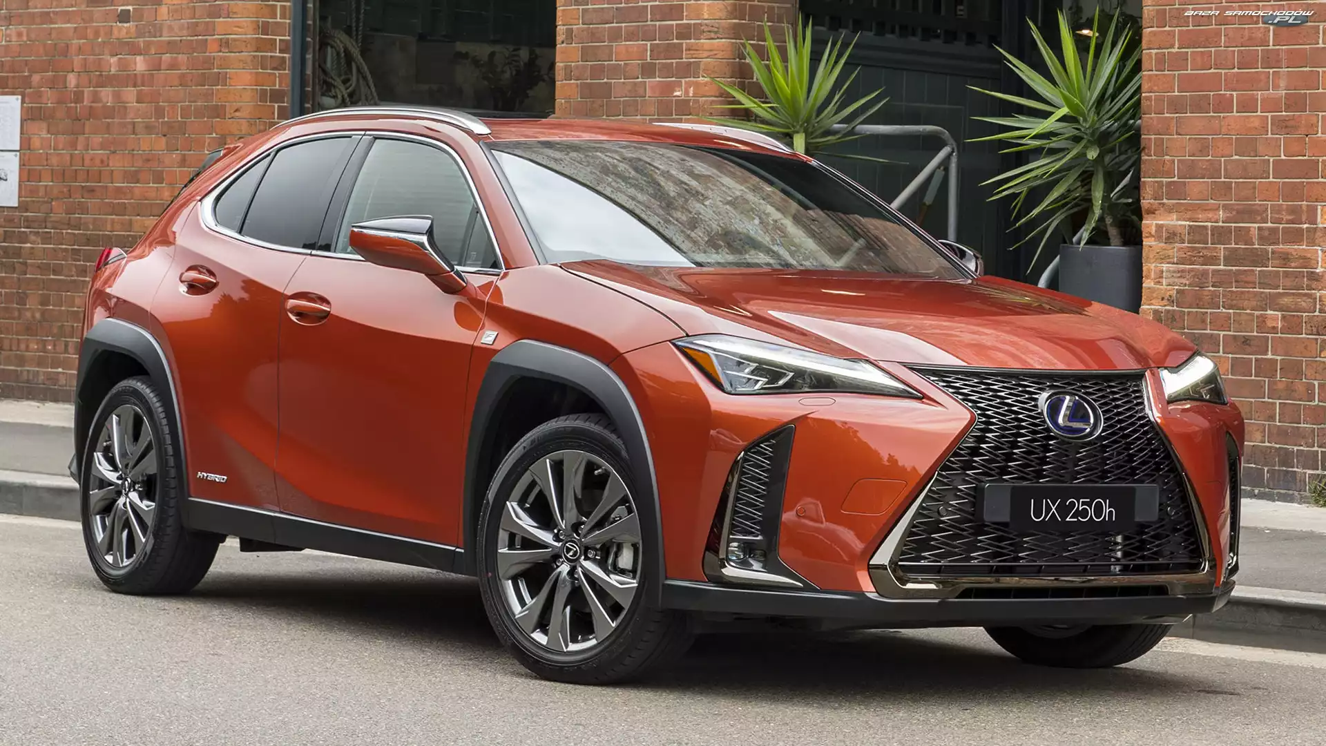 Hybryda, Czerwony, Lexus UX