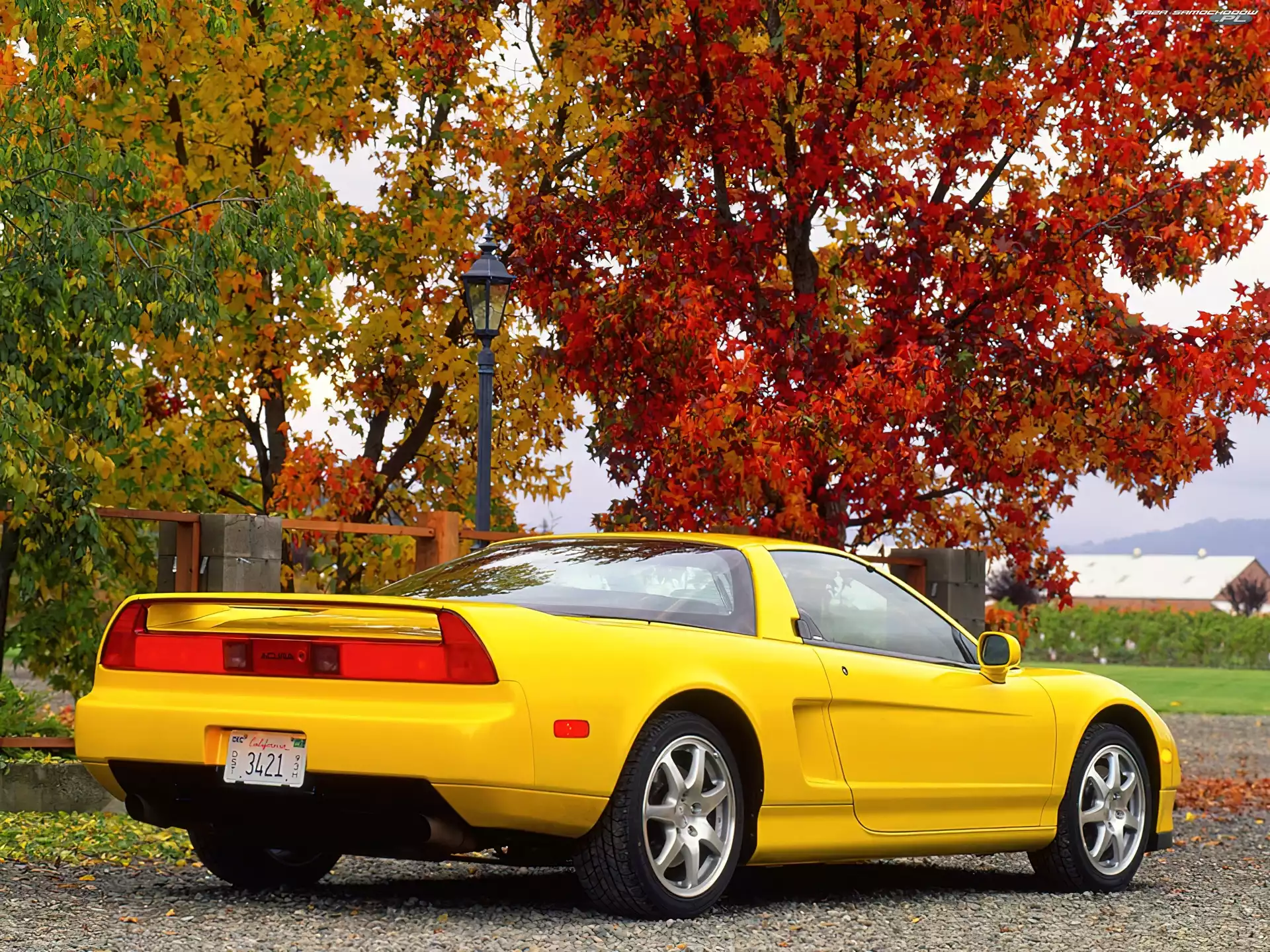 Jesień, Żółta, Acura NSX