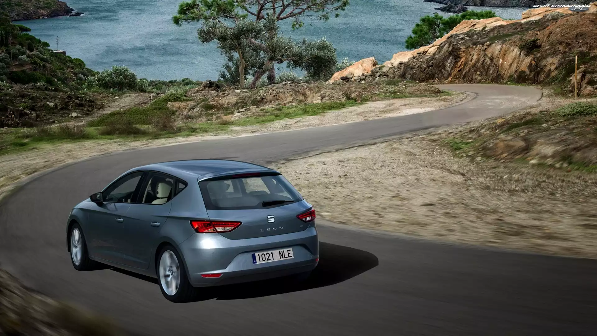 Seat Leon, Droga