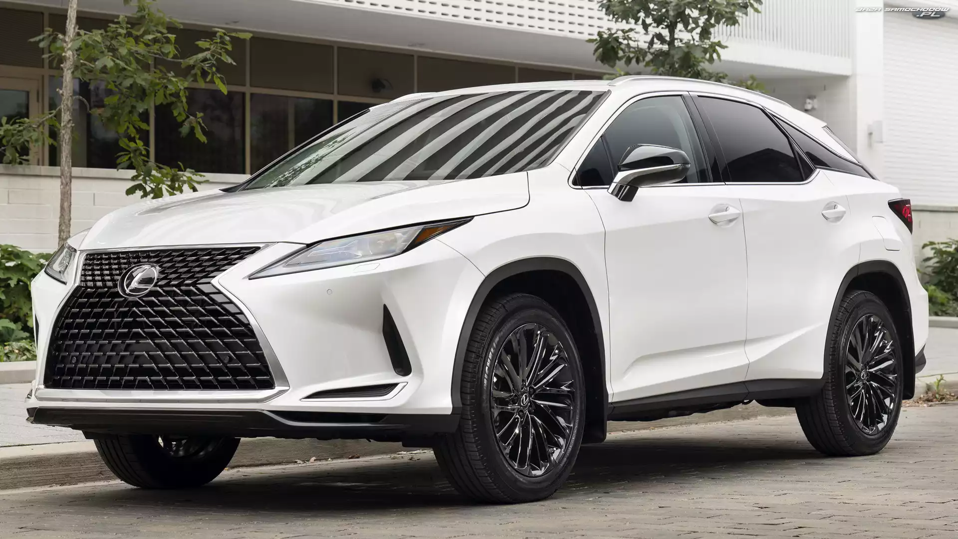 2021, Lexus RX Moonlight Edition