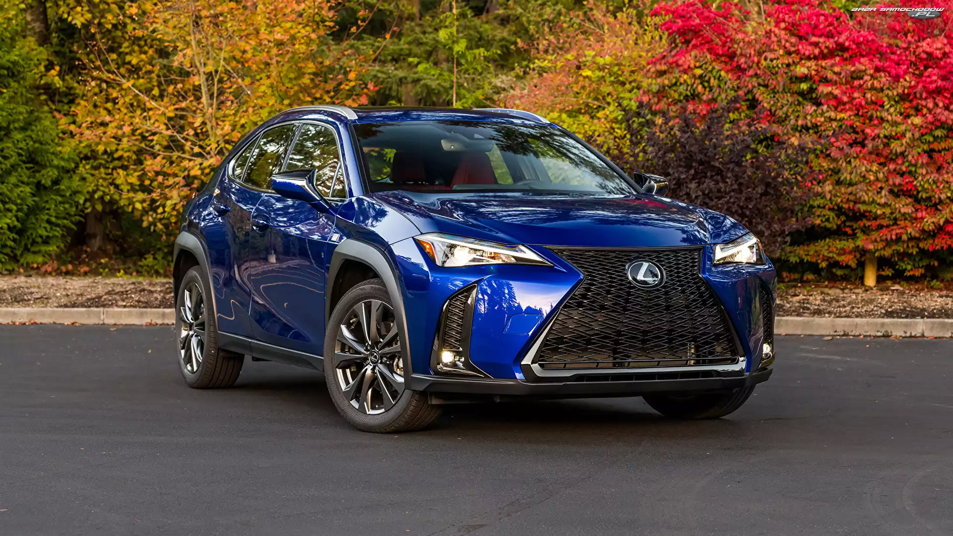 Lexus UX 200 F Sport, Niebieski