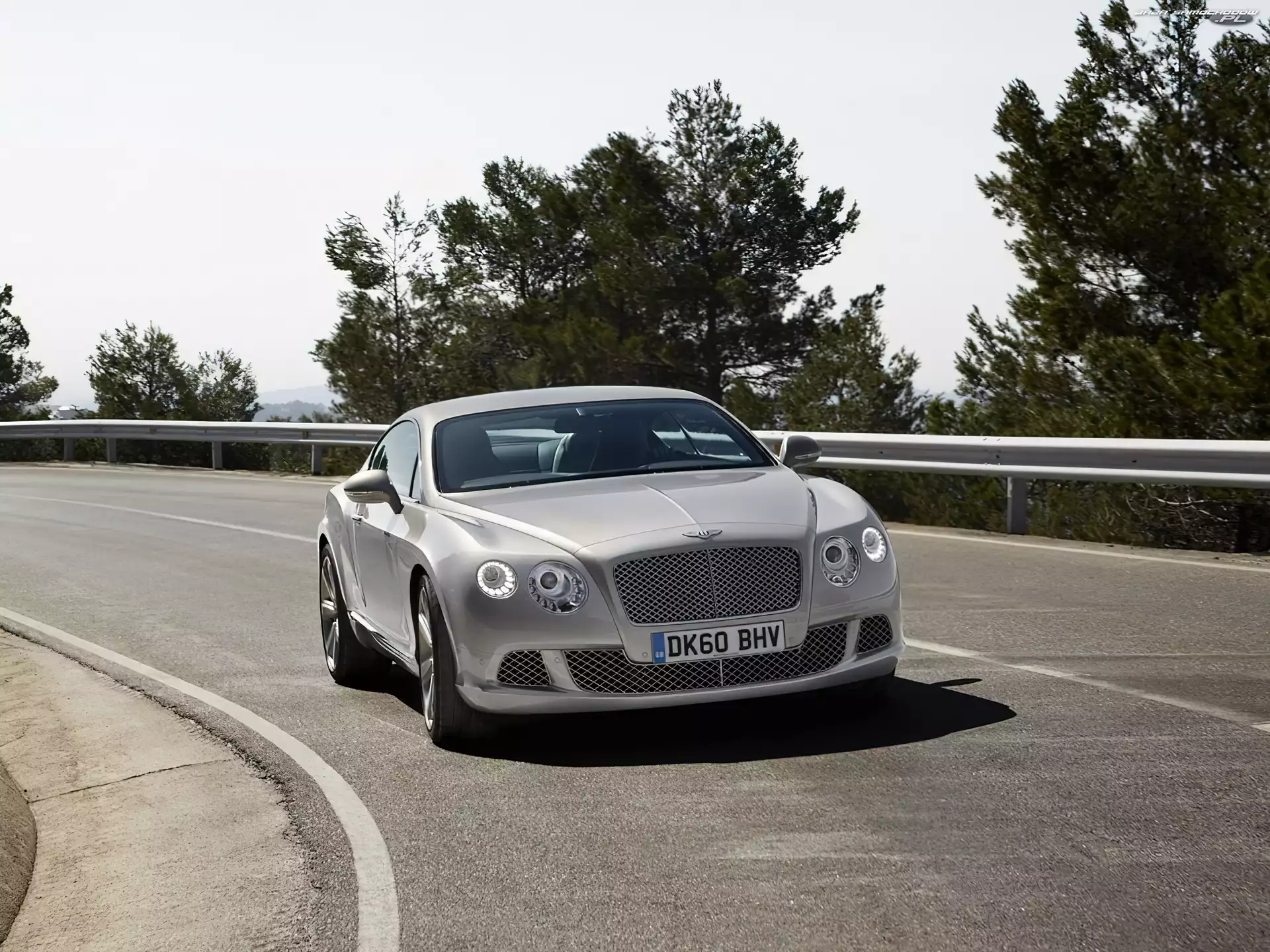 Maska, Bentley Continental GT, Profilowana