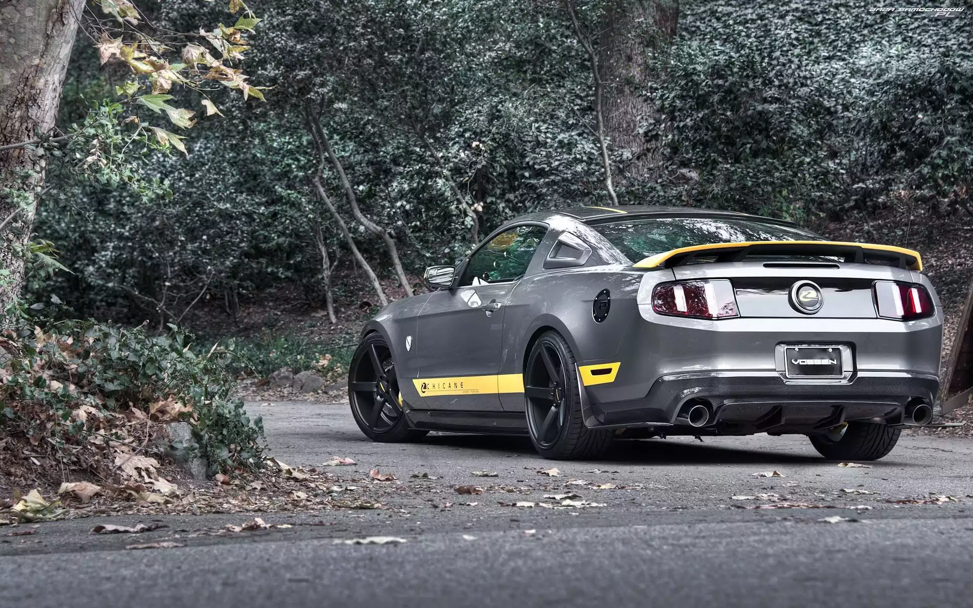 Mustang, Chicane, Ford, Tuning