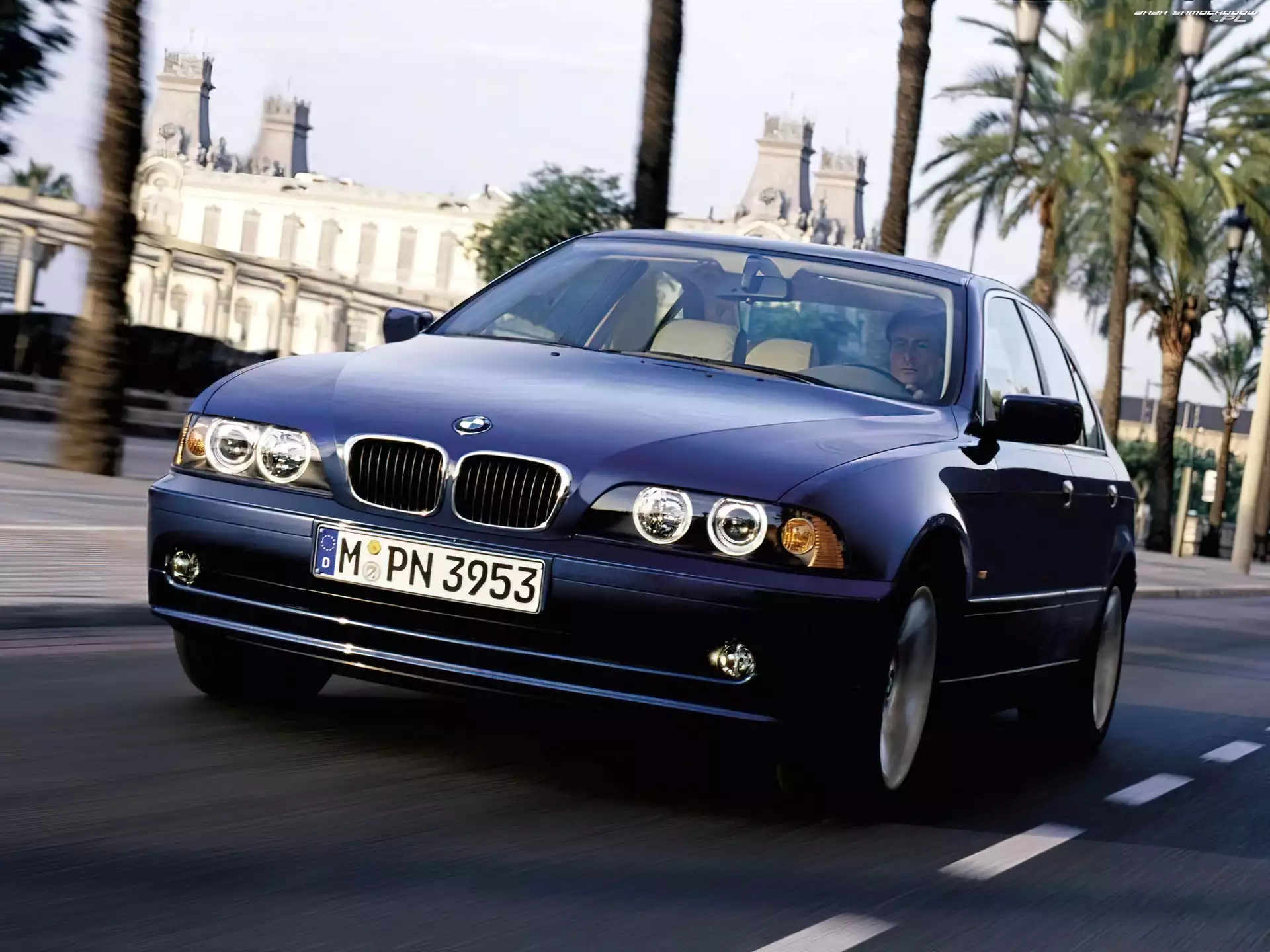 BMW E 39, Niebieski