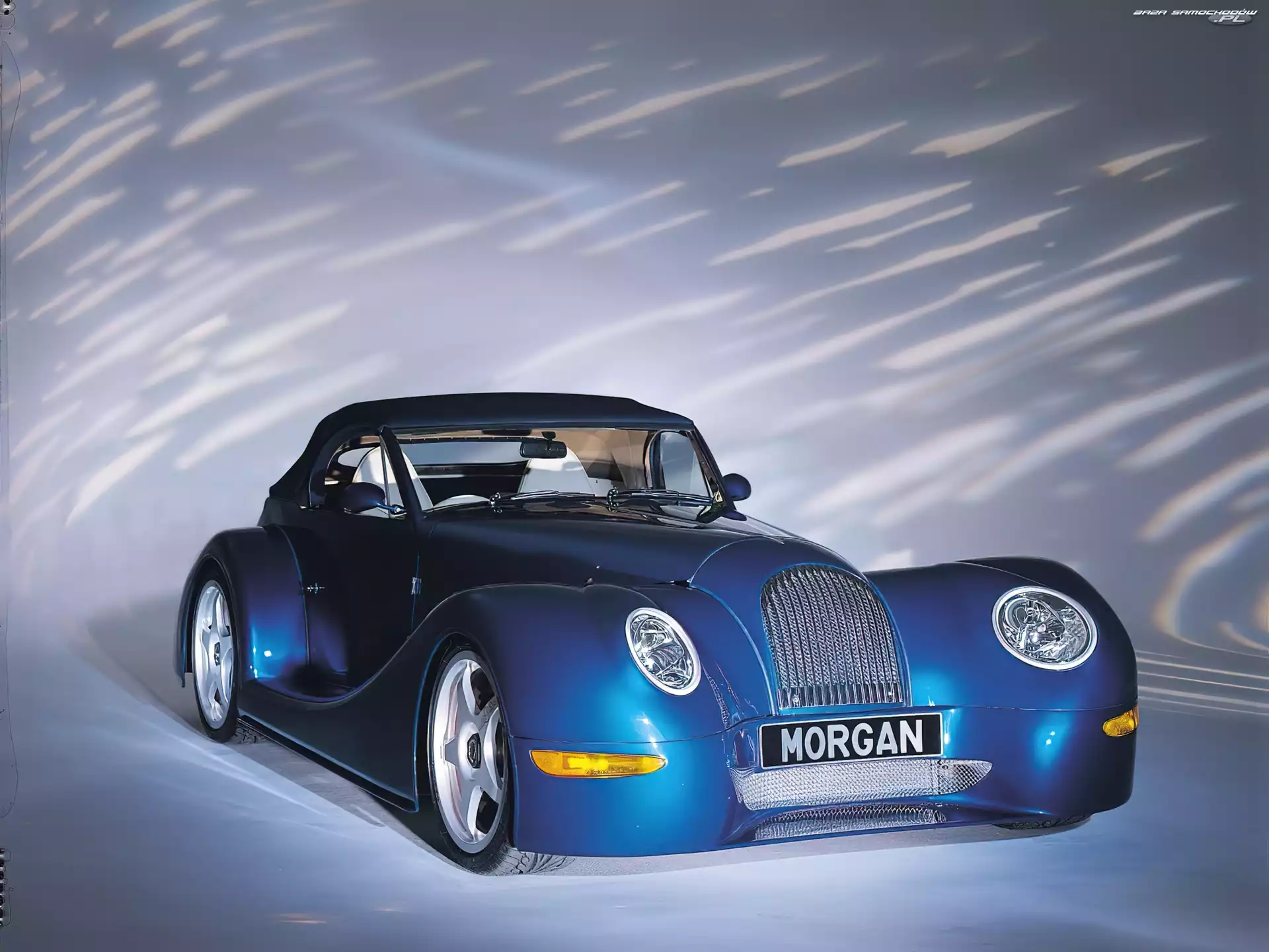 Morgan, Niebieski