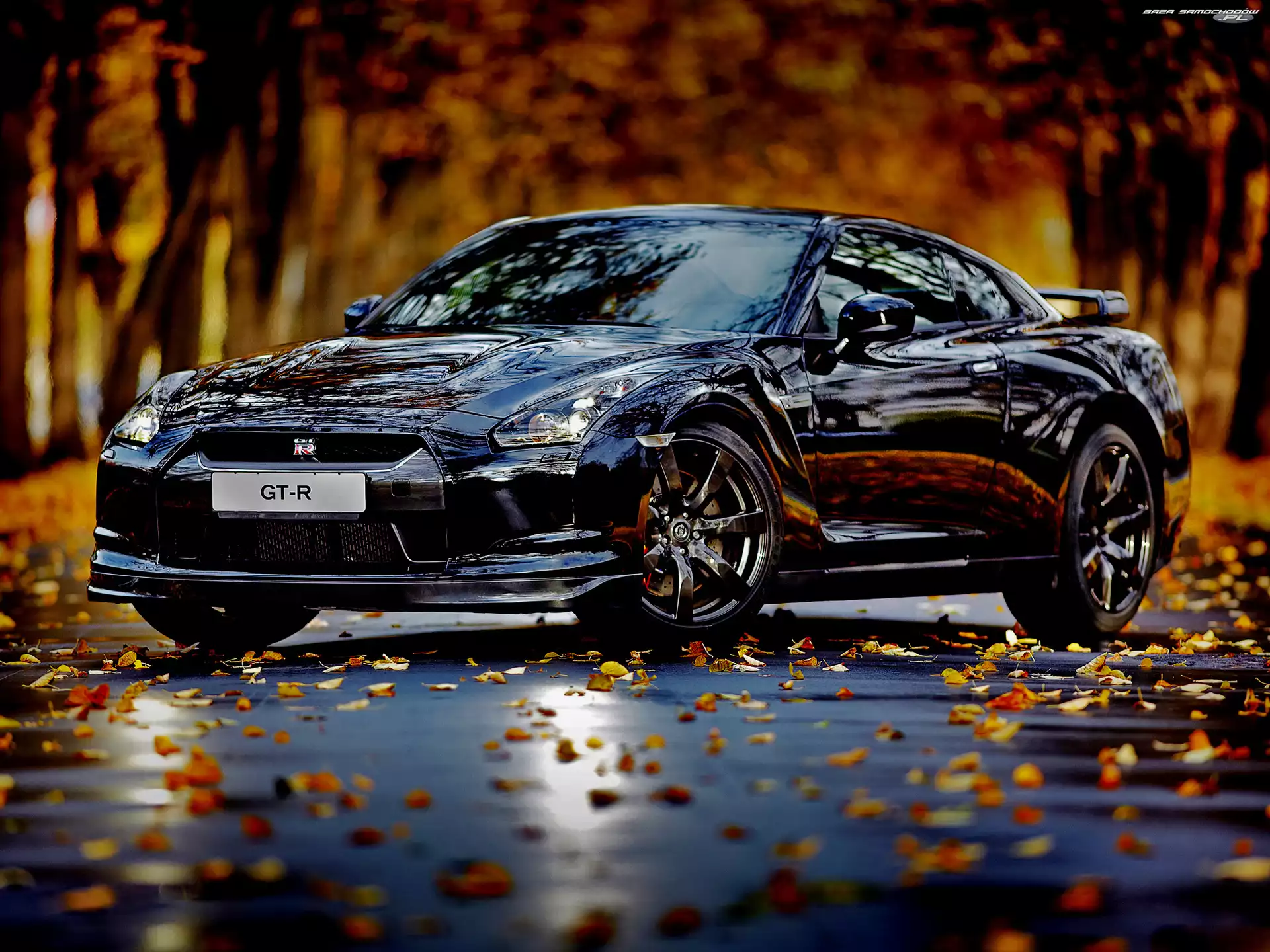 Nissan, Granatowy, Blask, Jesień, Samochód, GTR