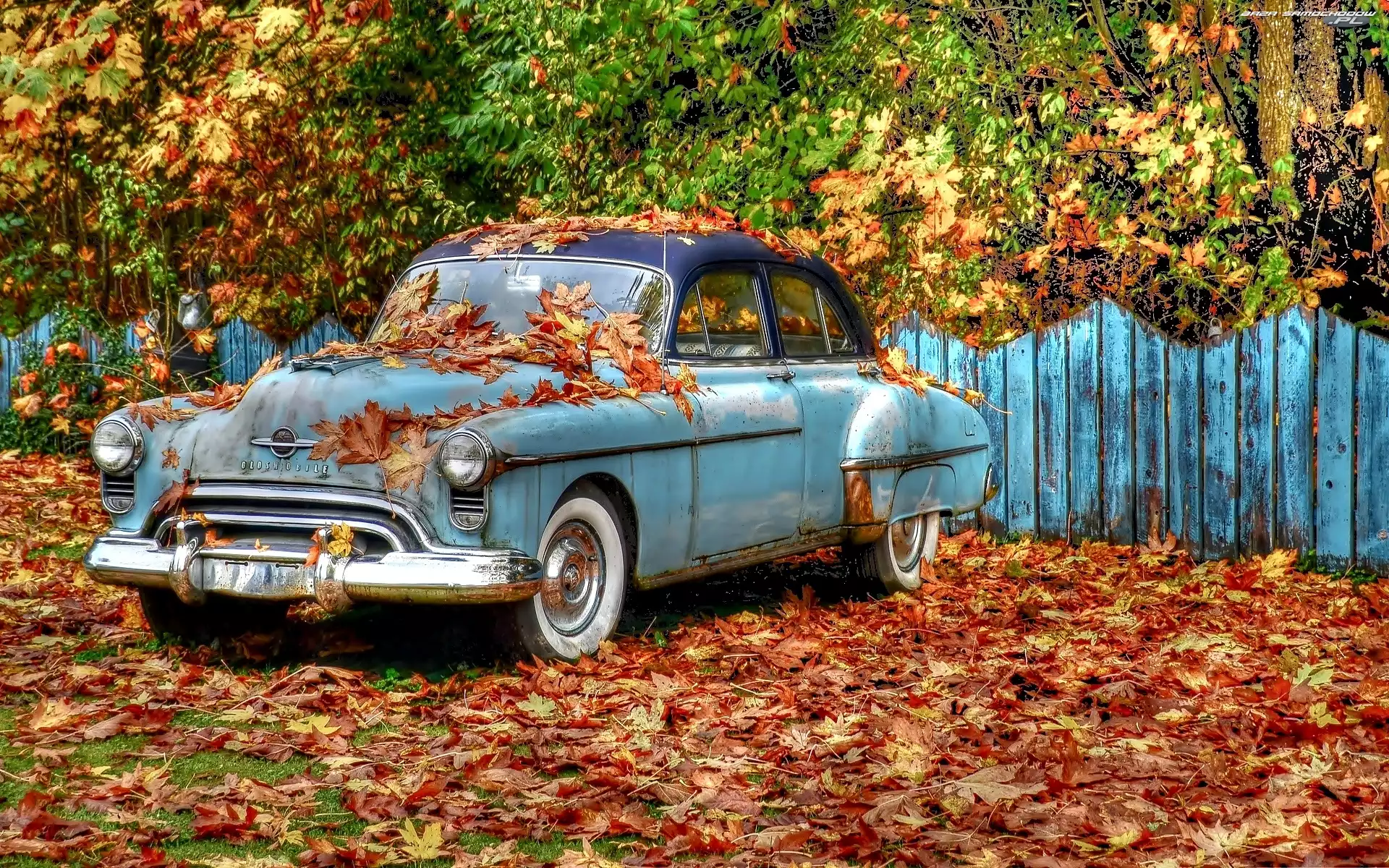 Ogrodzenie, Liście, Zabytkowy, Samochód, Oldsmobile