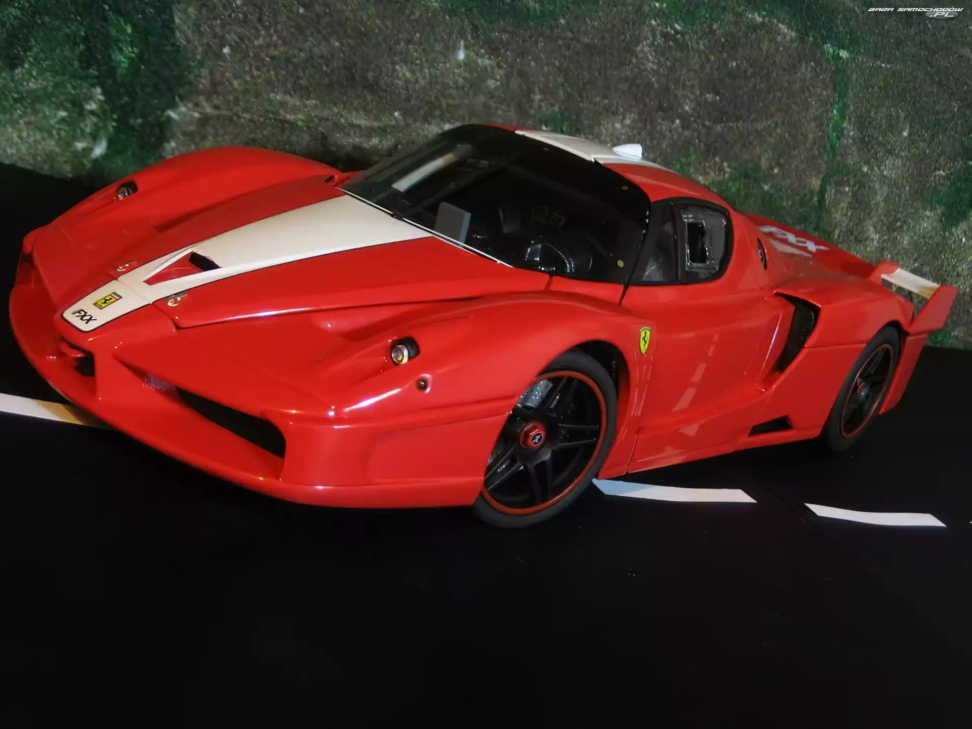 Pas, Ferrari FXX, Biały