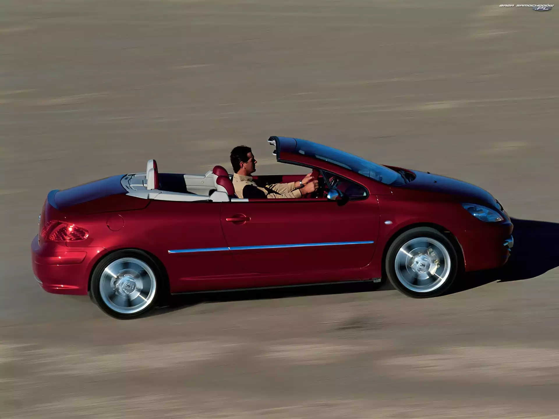 Peugeot 307, Bordowy