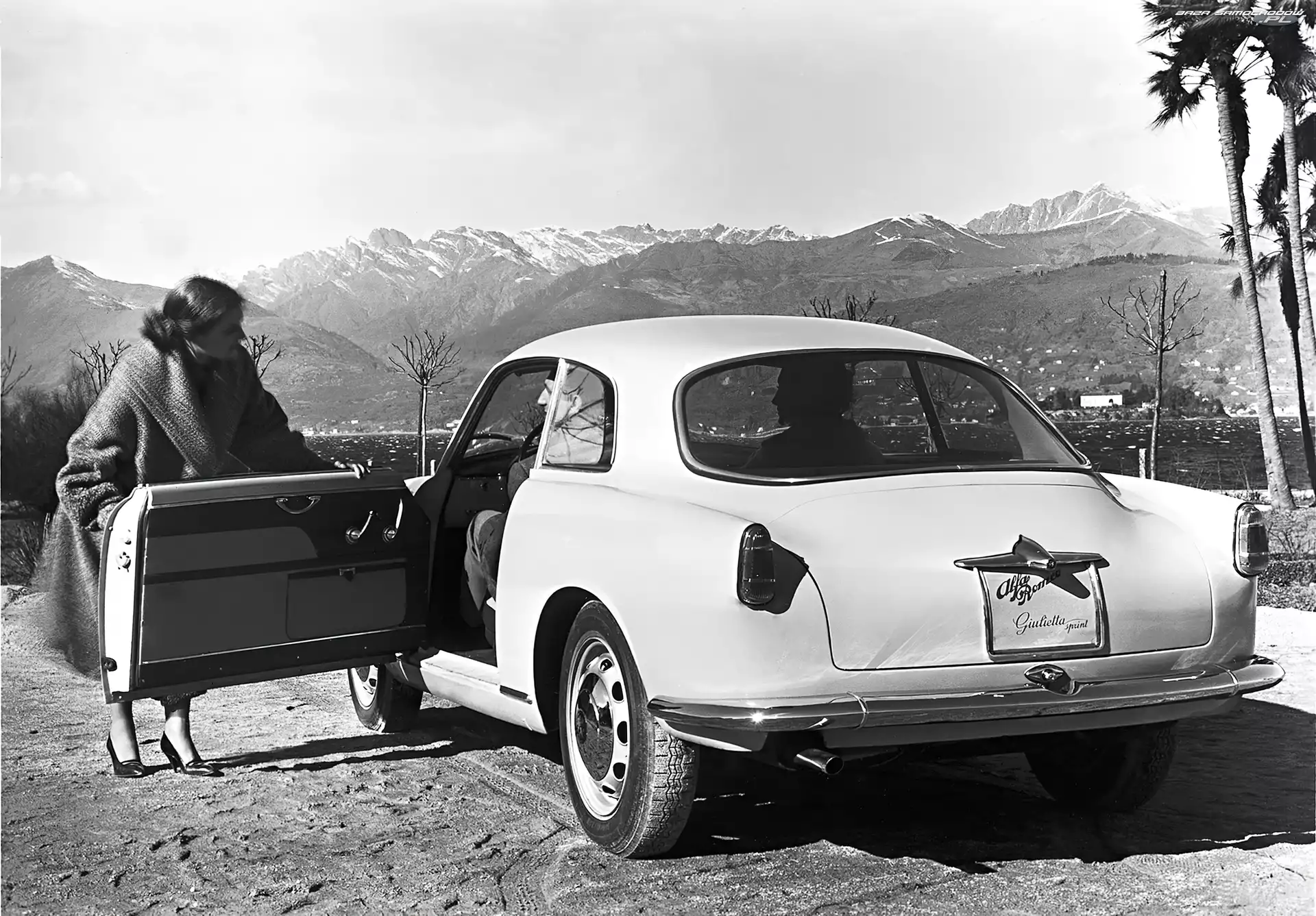drzwi, Alfa Romeo
