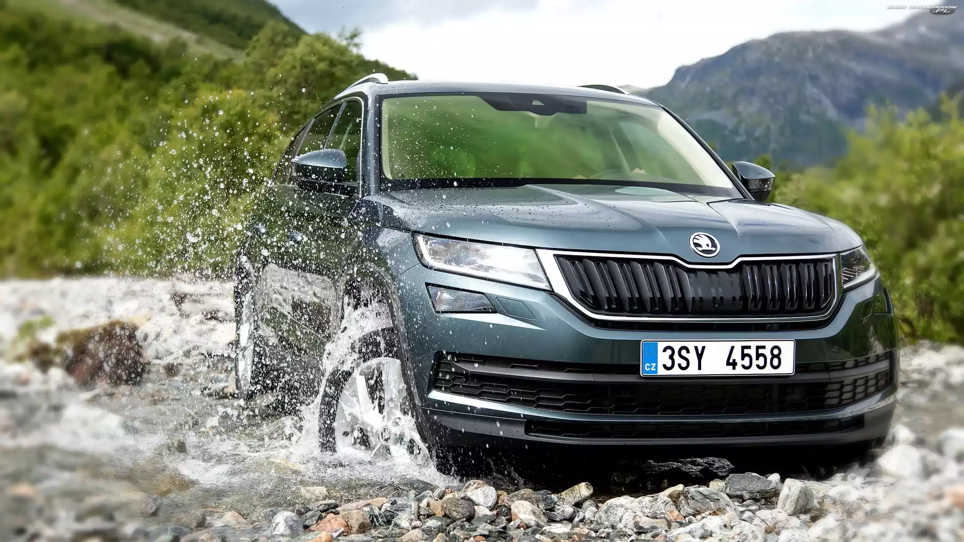 Rozbryzgująca, Kamienie, Skoda Kodiaq, Woda