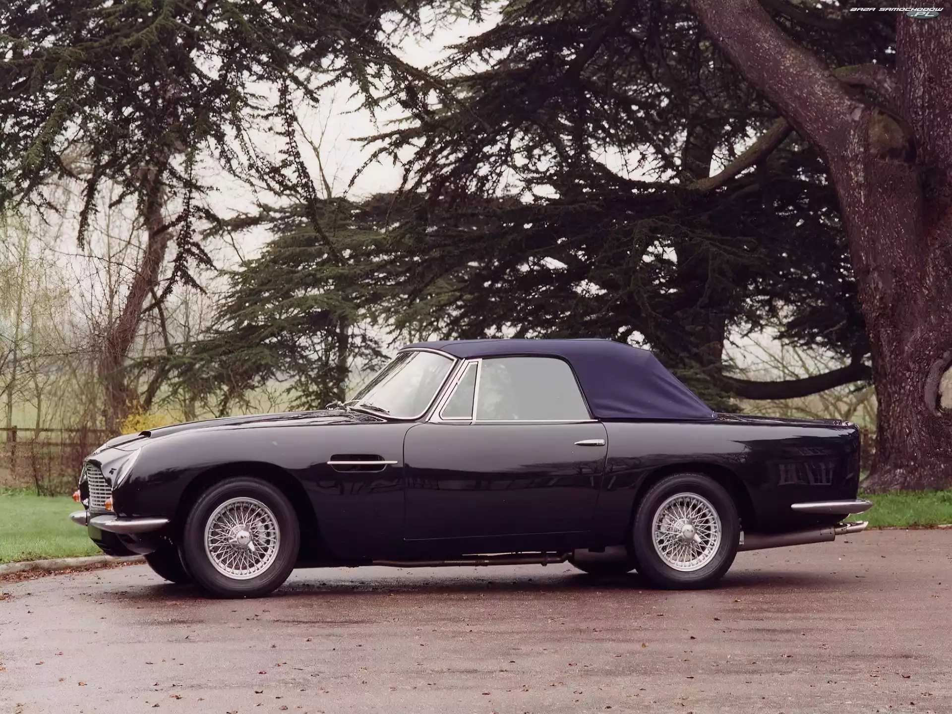 Bok, Samochodu, Volante, Aston Martin DB6