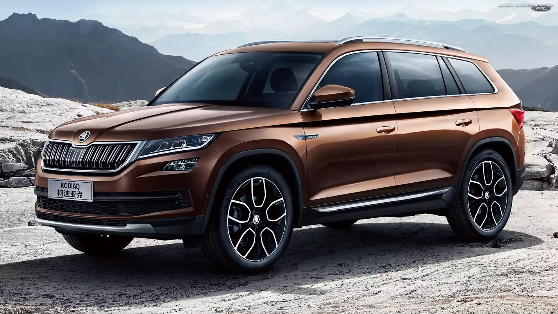 Skoda Kodiaq, Brązowa