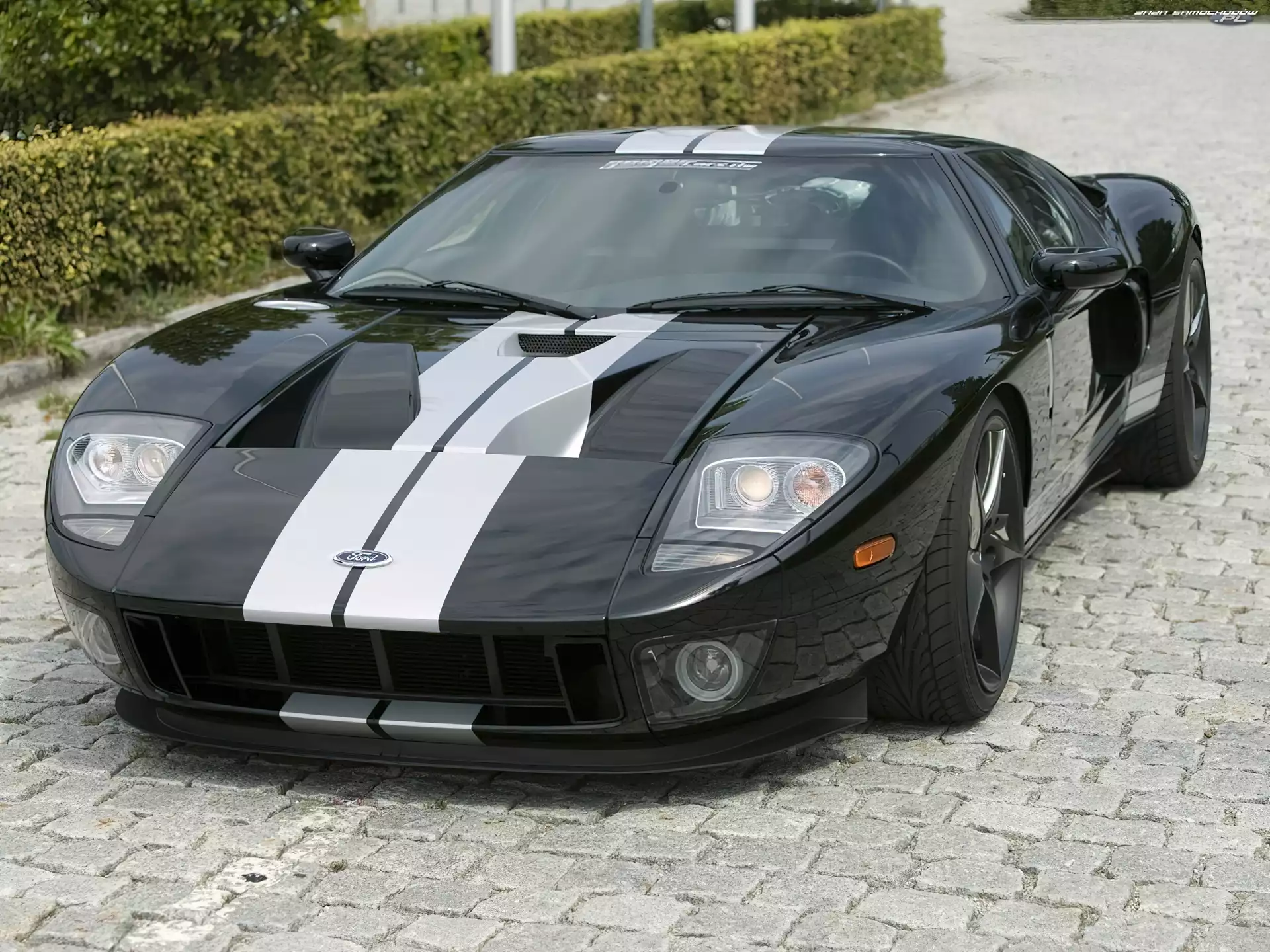 Ford GT, Sportowa, Nadwozia, Linia