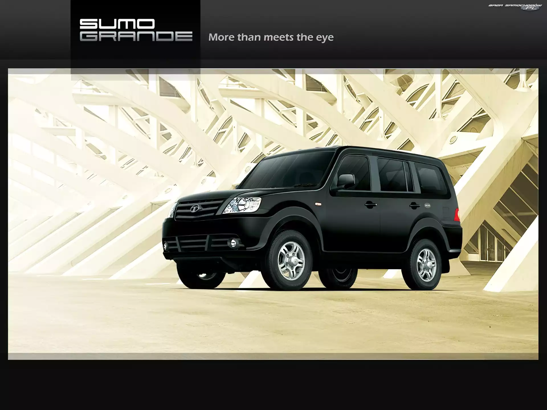 Tata Sumo, Terenowy